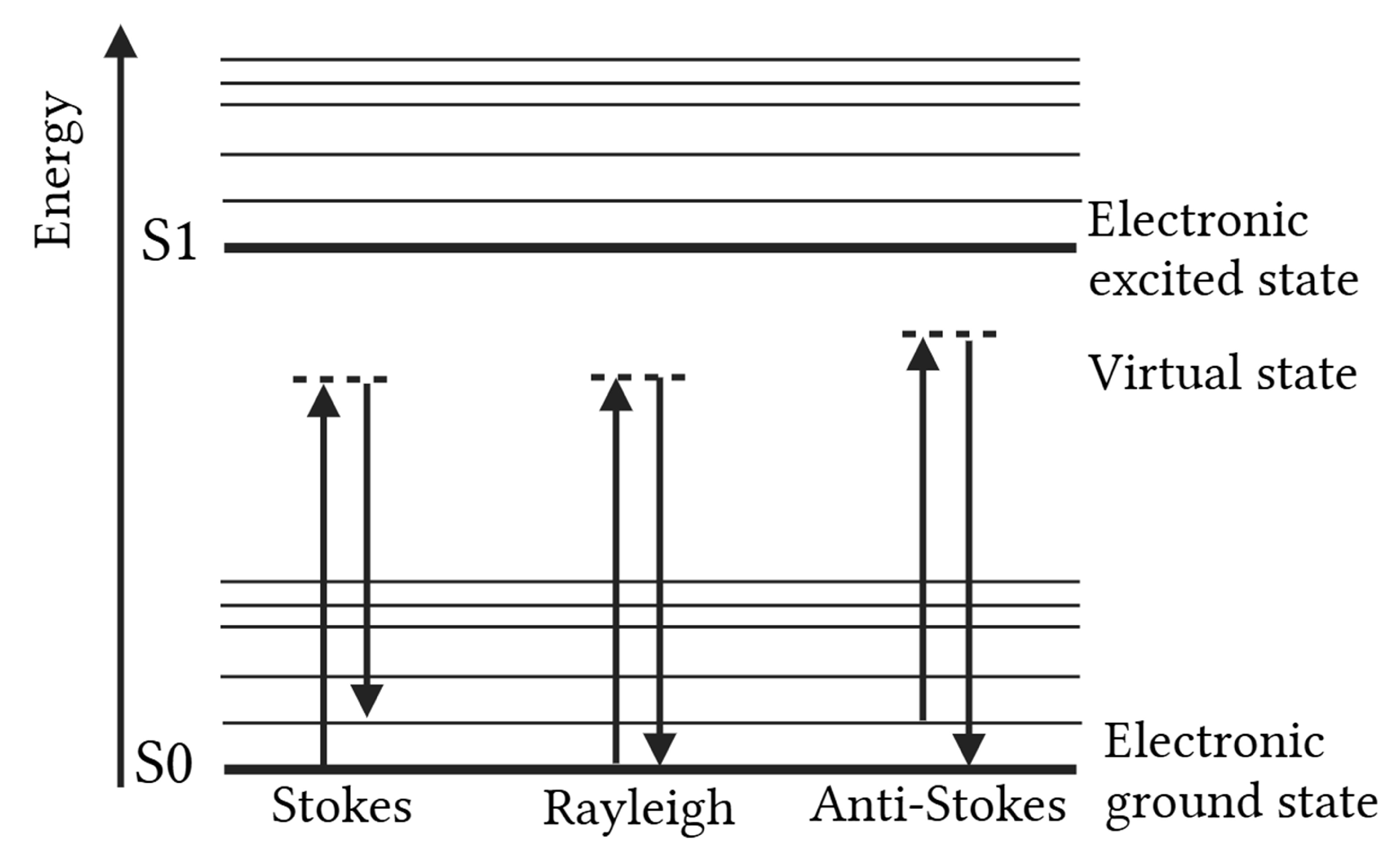 Foods 14 03330 g001 Foods 14 03330 g001