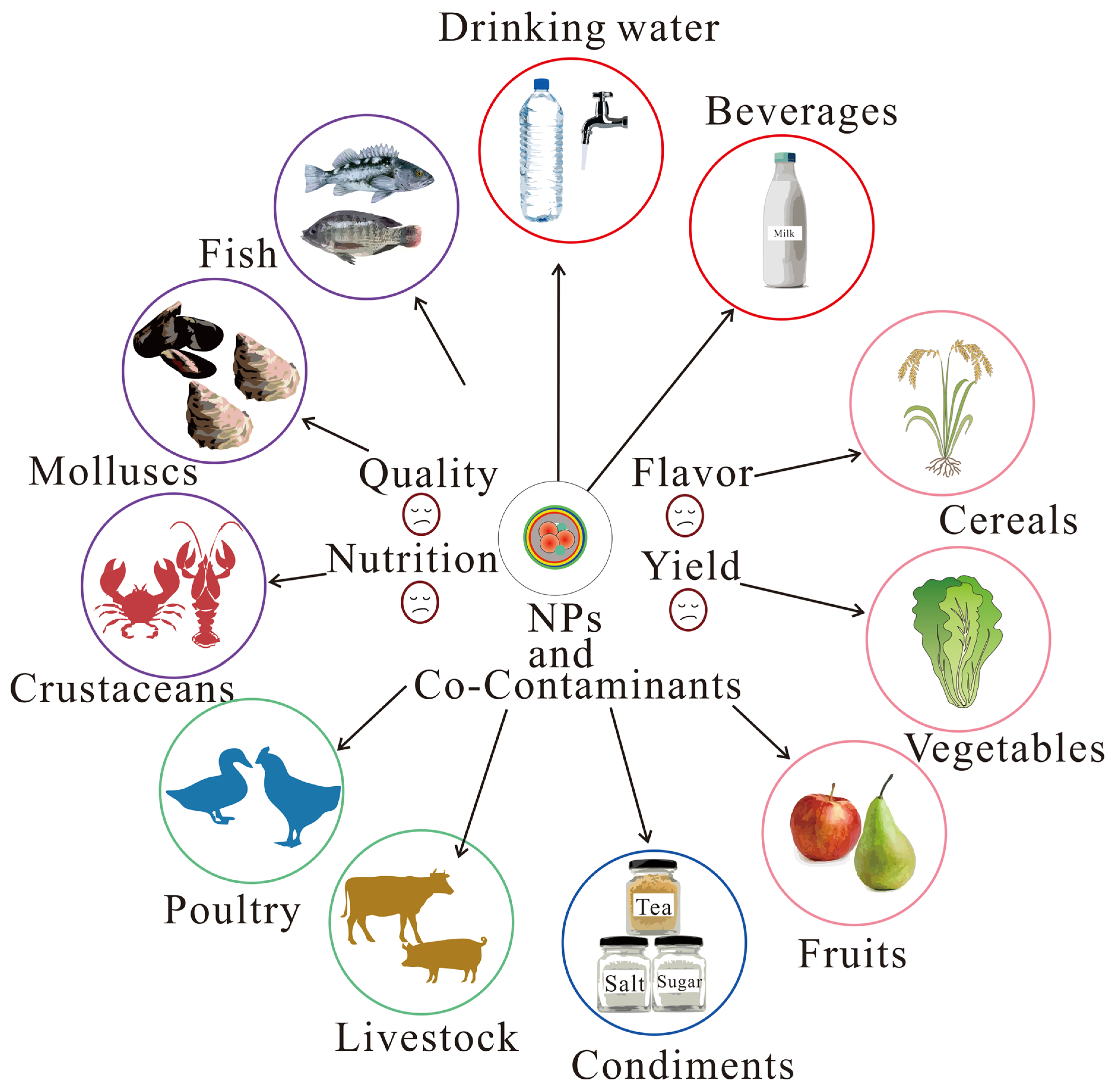 Foods 14 03349 g002 Foods 14 03349 g002