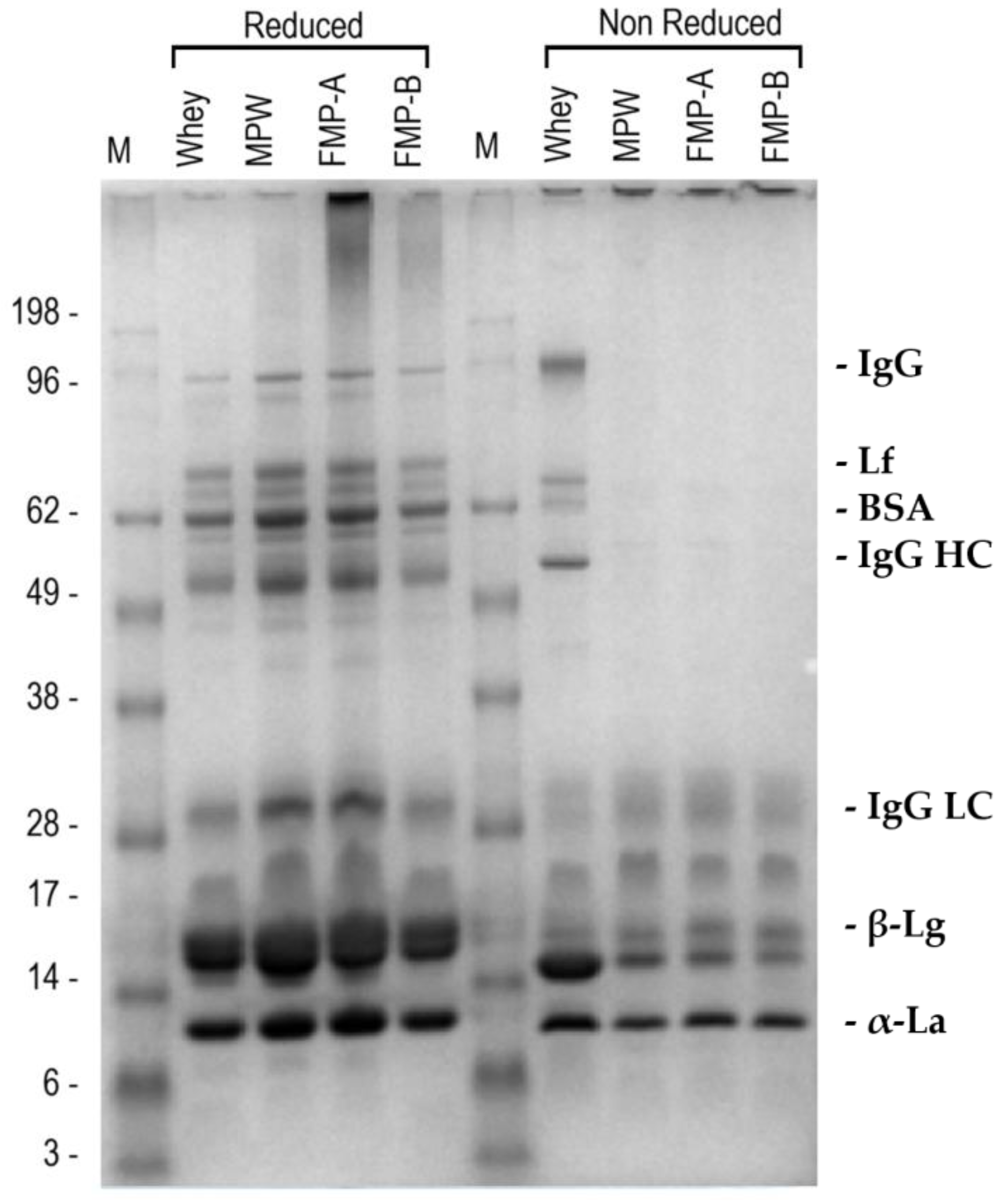 Foods 14 03421 g003 Foods 14 03421 g003