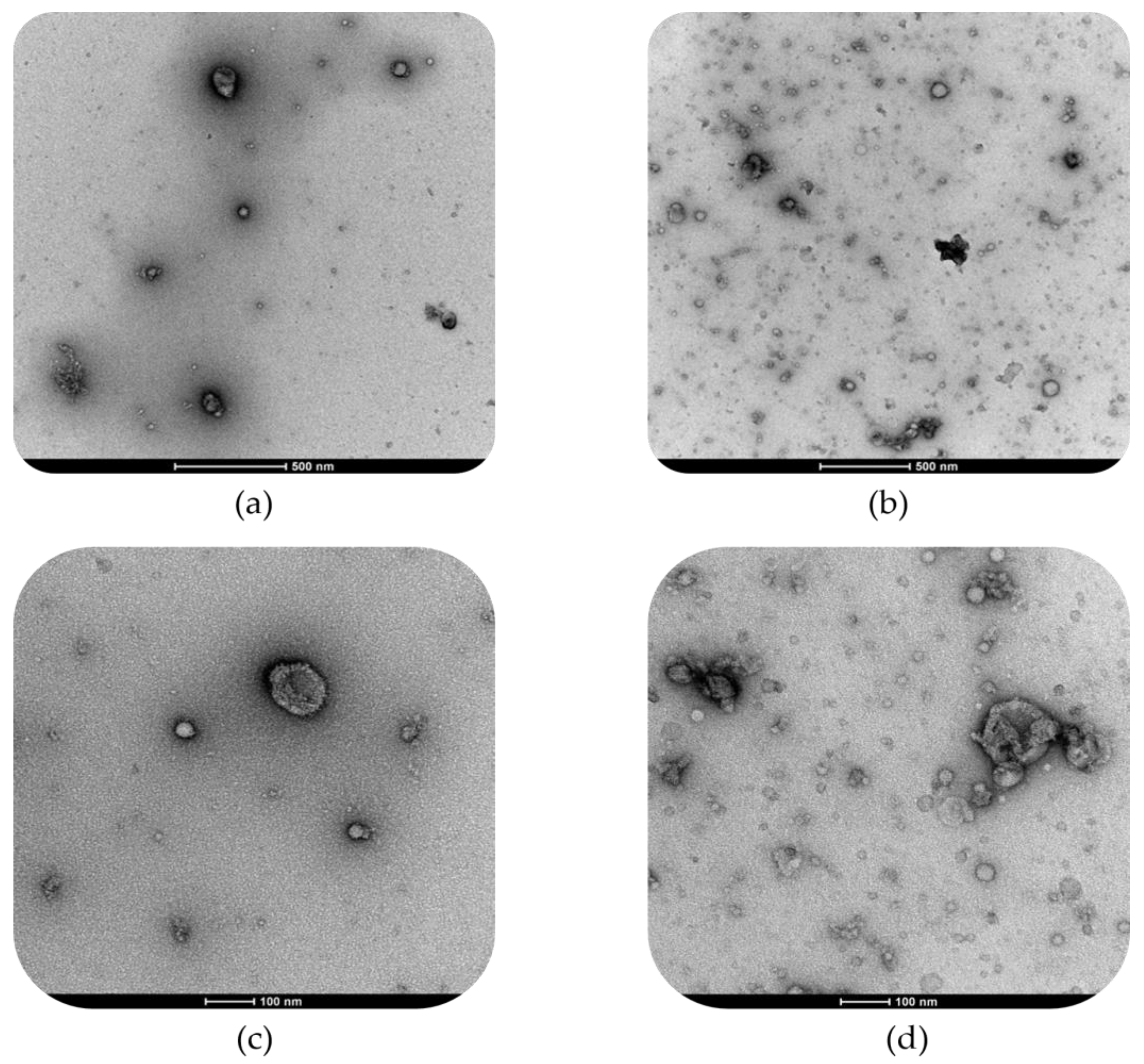 Foods 14 03421 g005 Foods 14 03421 g005