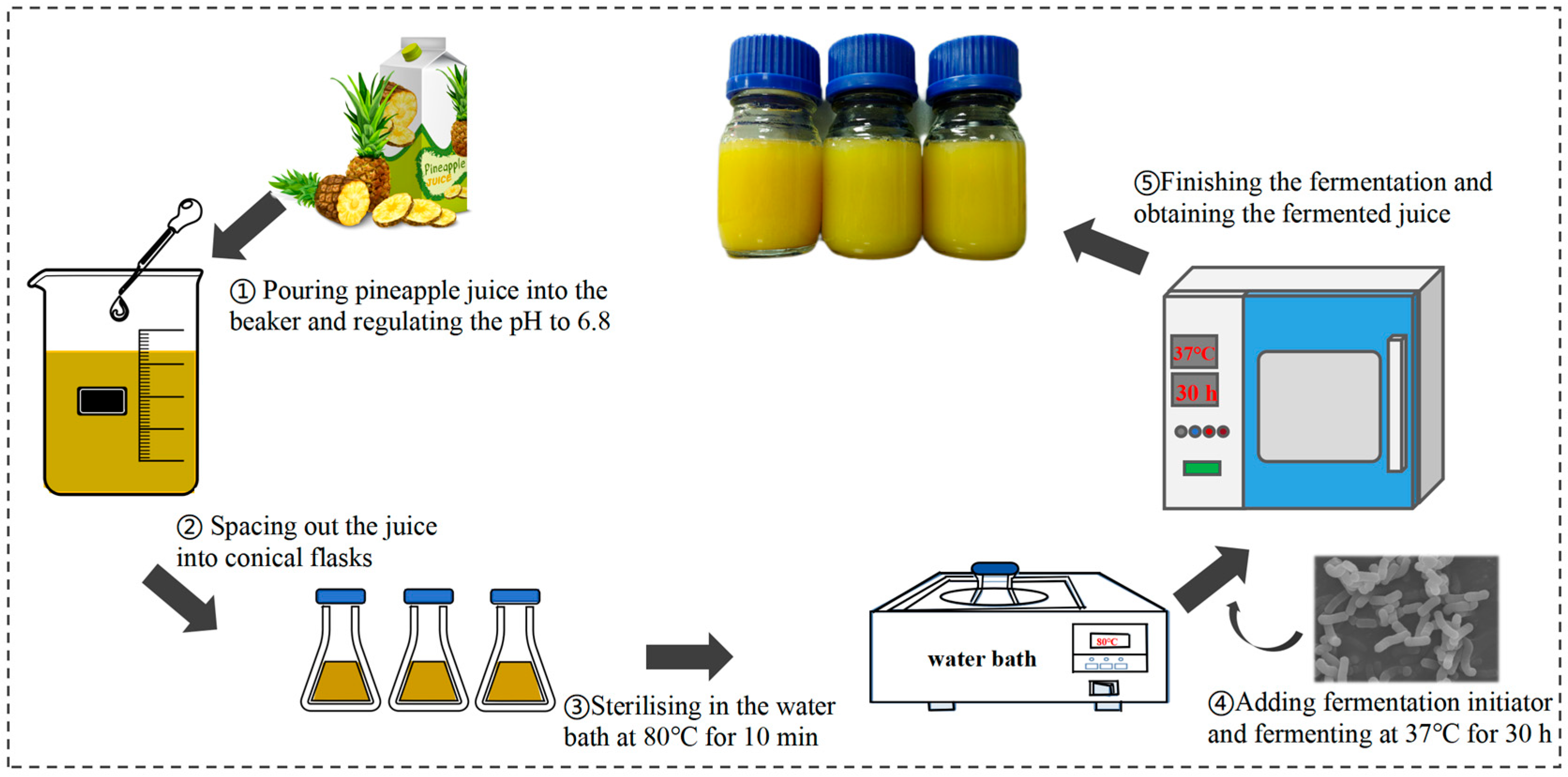 Foods 14 03474 g001 Foods 14 03474 g001