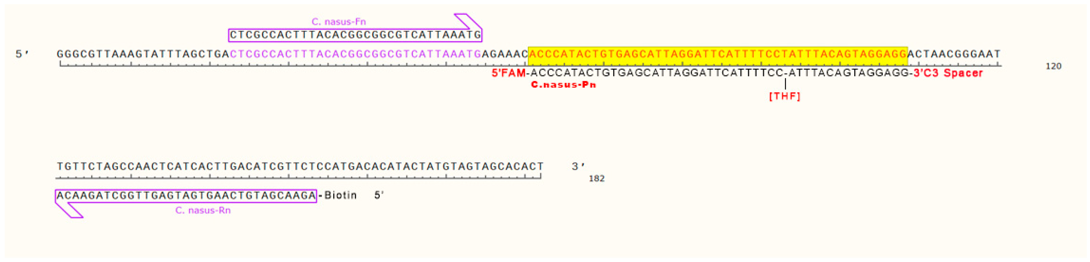 Foods 14 03484 g001 Foods 14 03484 g001