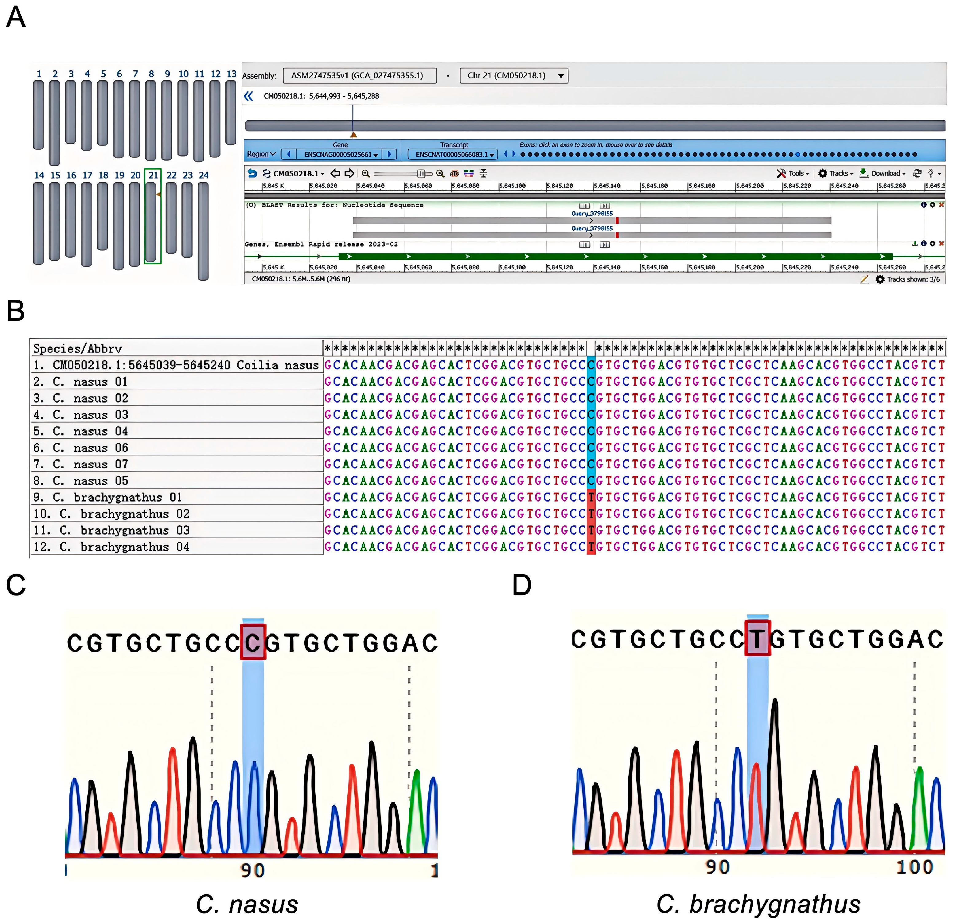 Foods 14 03484 g003 Foods 14 03484 g003
