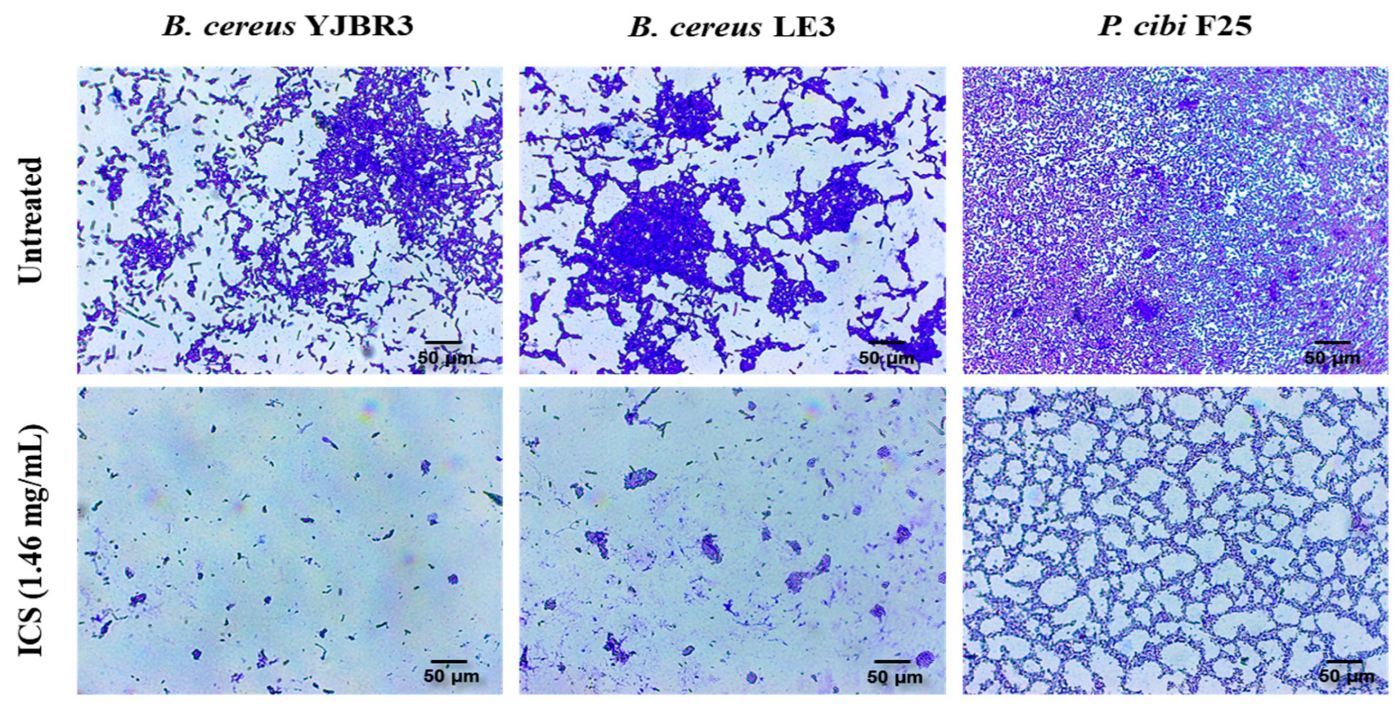 Foods 14 03592 g006 Foods 14 03592 g006
