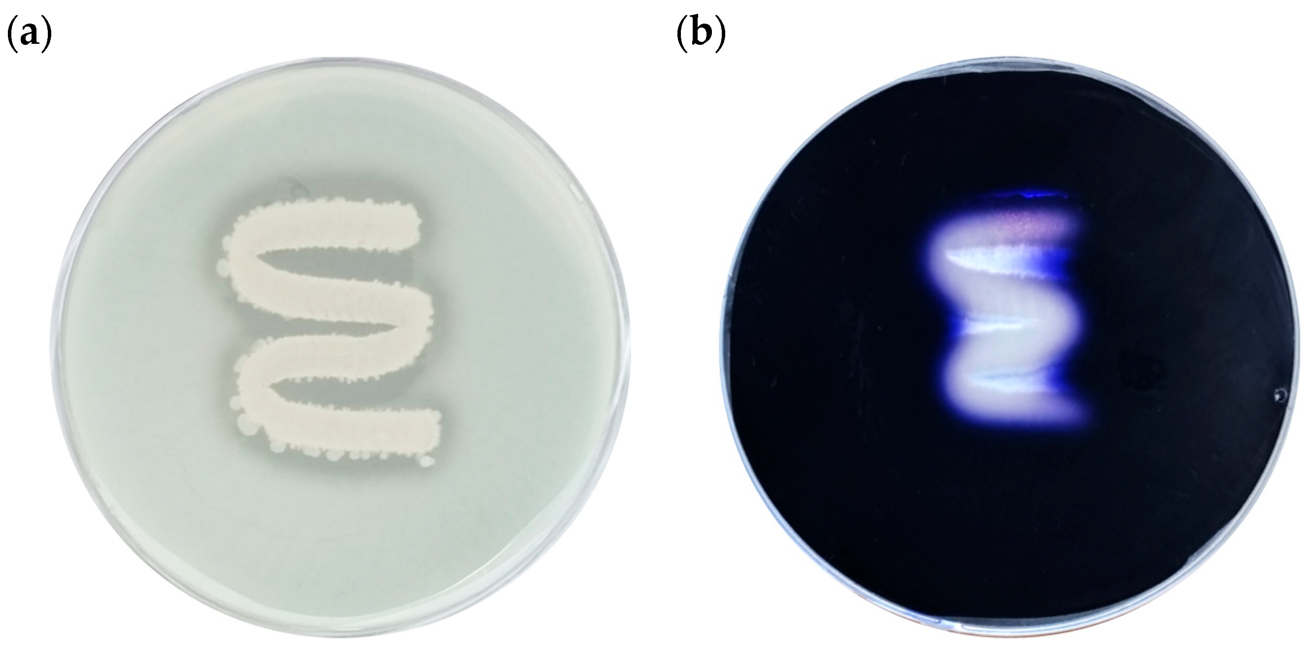 Foods 14 03592 g009 Foods 14 03592 g009