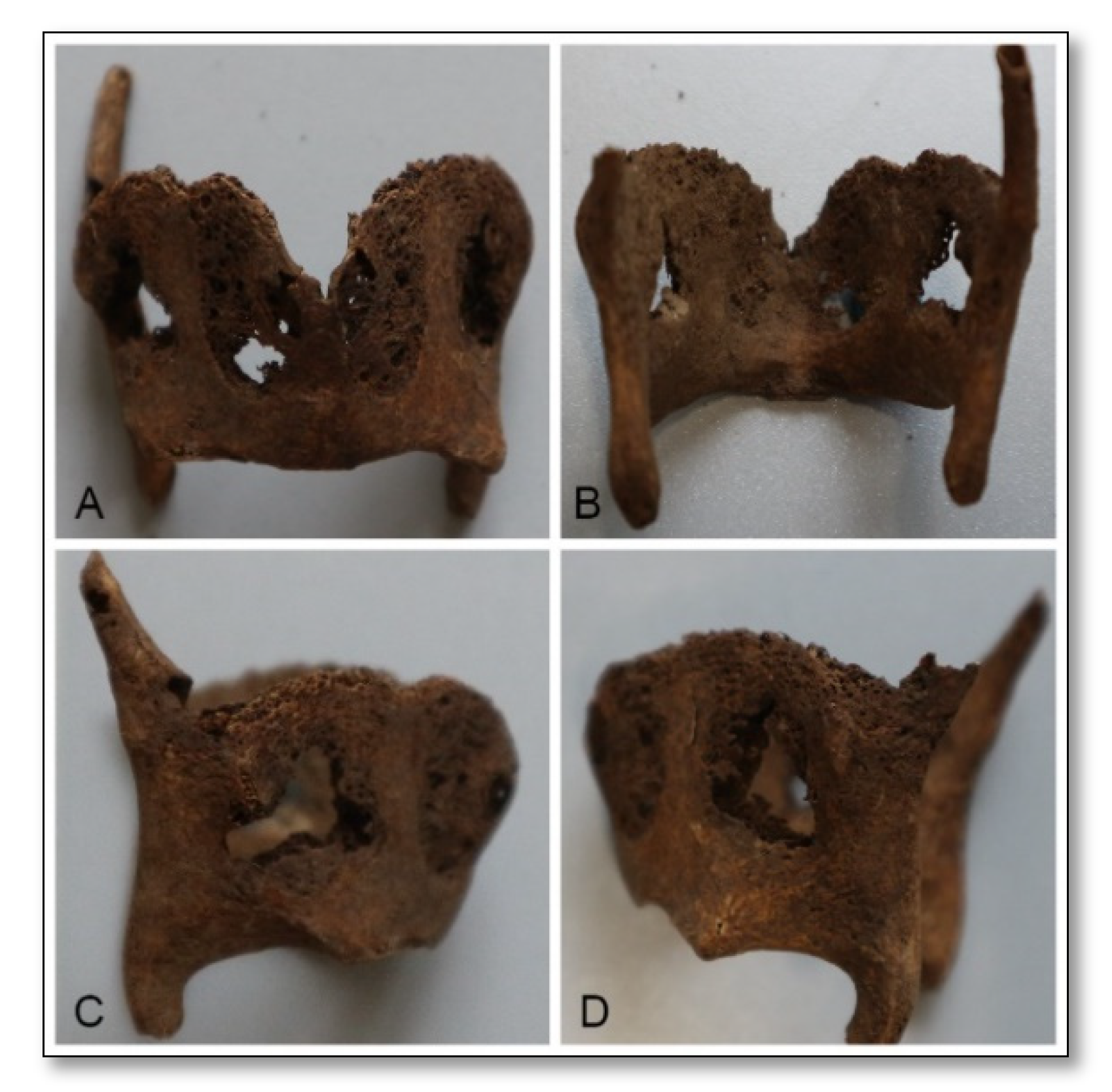Forensicsci 01 00019 g002