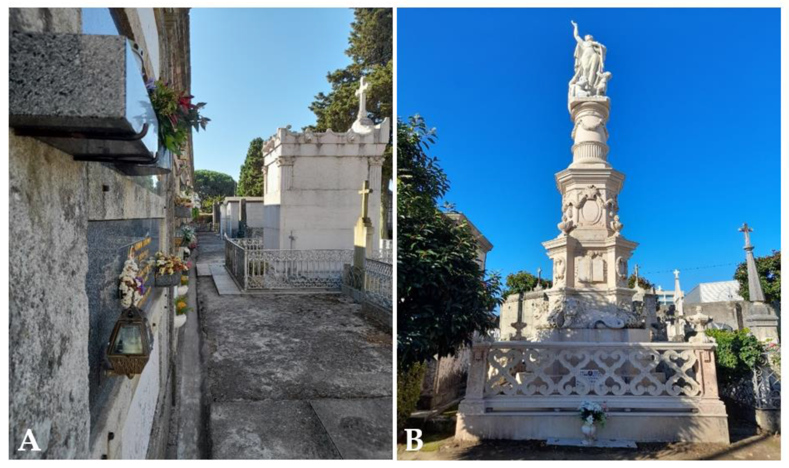 Forensic Sciences | Free Full-Text | The Importance of Soil on Human  Taphonomy and Management of Portuguese Public Cemeteries