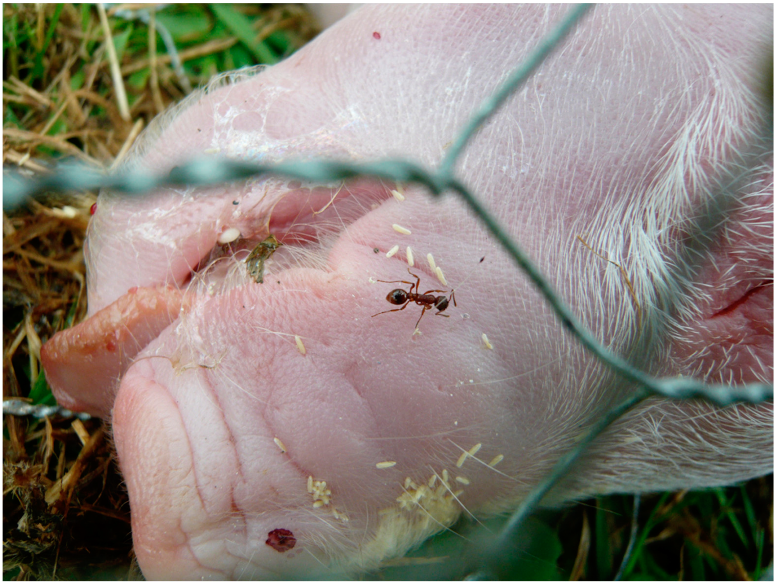 Forensicsci 02 00054 g003 Forensicsci 02 00054 g003