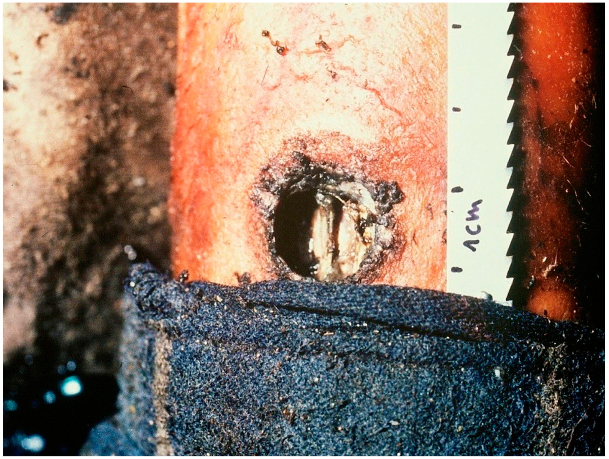 Forensicsci 02 00054 g005 Forensicsci 02 00054 g005