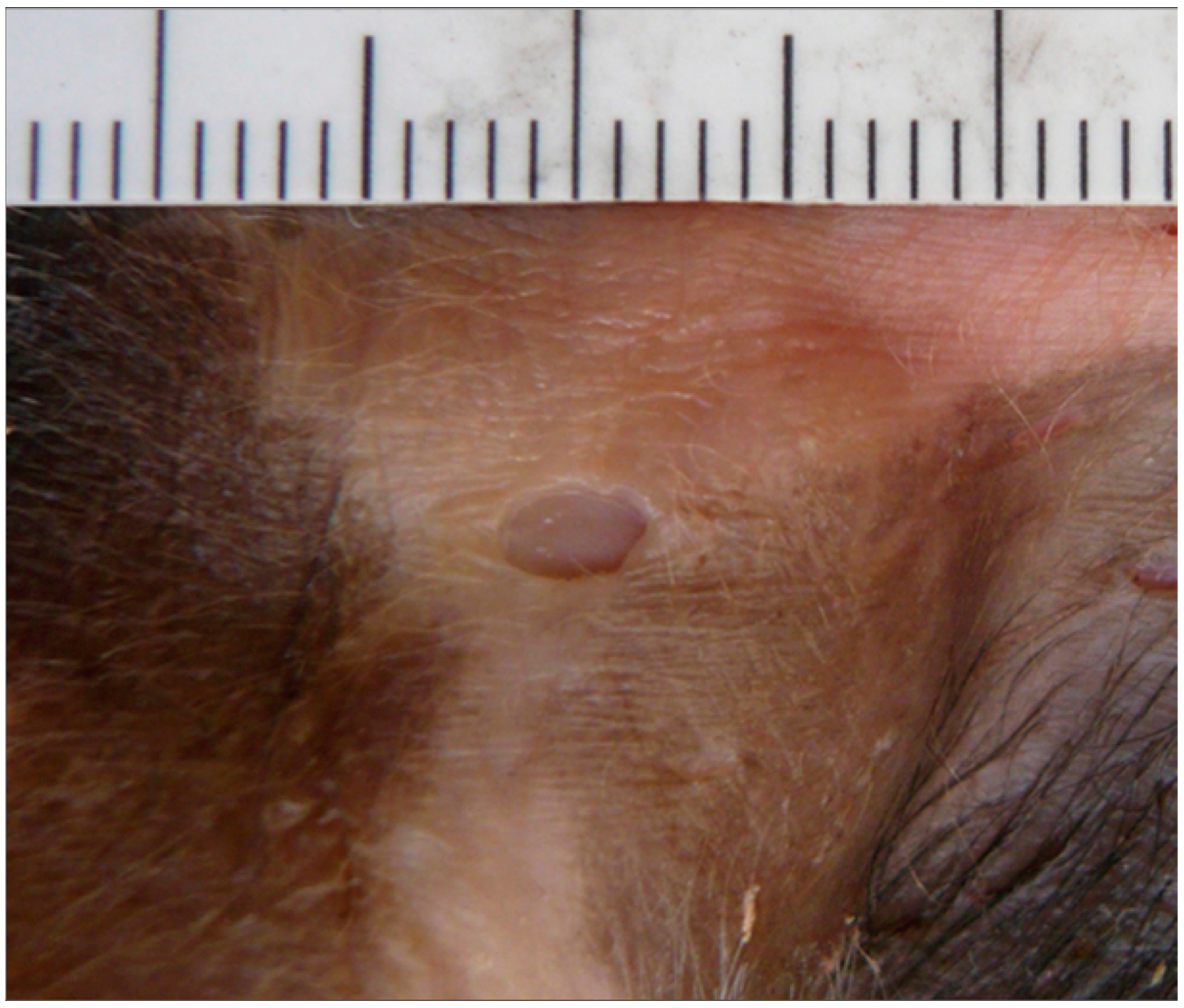 Forensicsci 02 00054 g007 Forensicsci 02 00054 g007