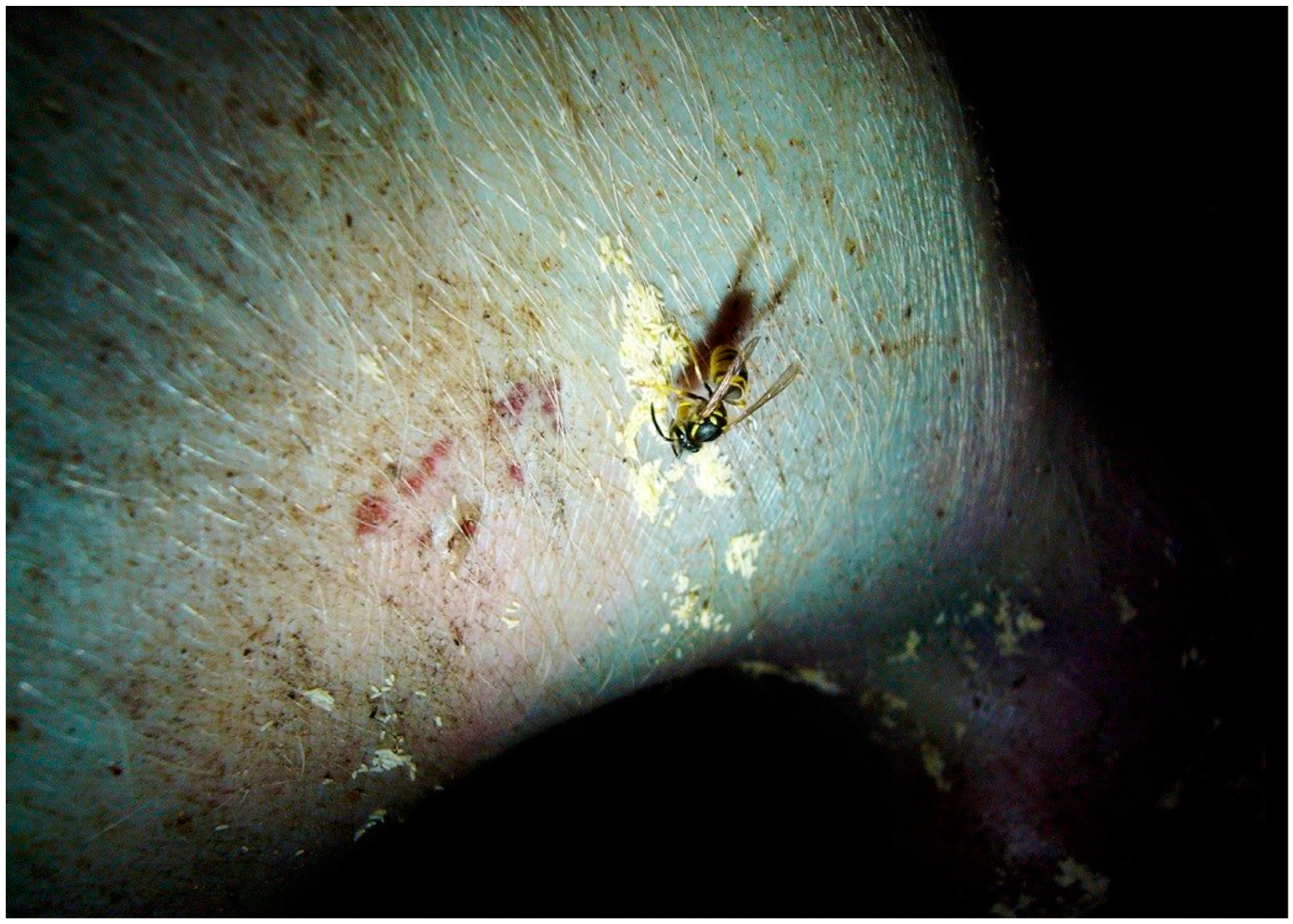 Forensicsci 02 00054 g015 Forensicsci 02 00054 g015