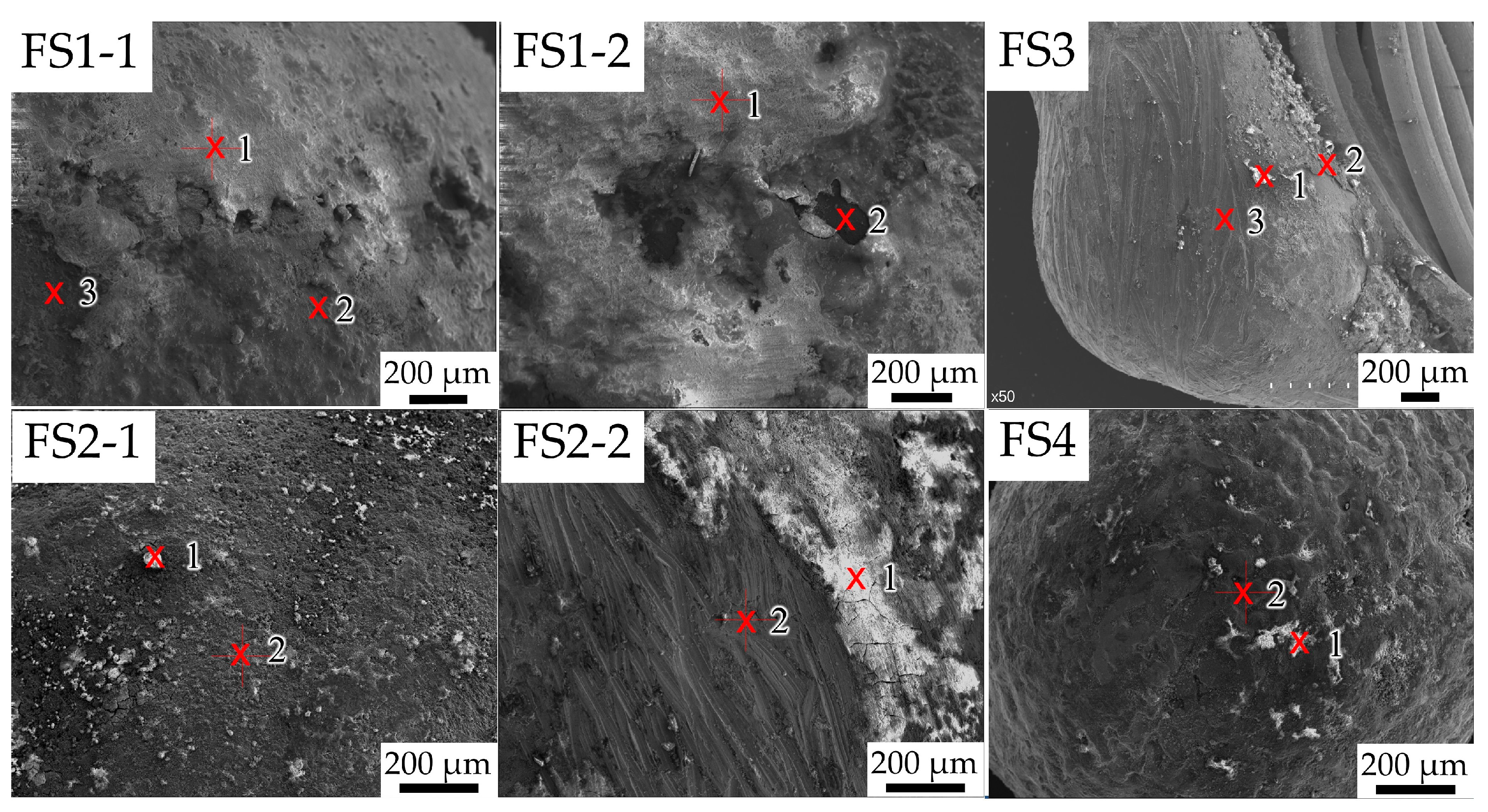 Forensicsci 03 00002 g002