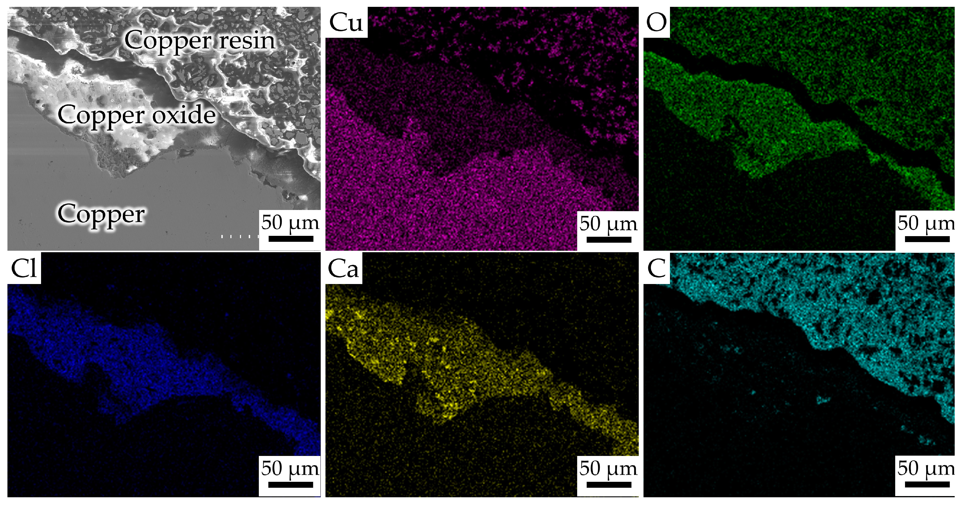 Forensicsci 03 00002 g004