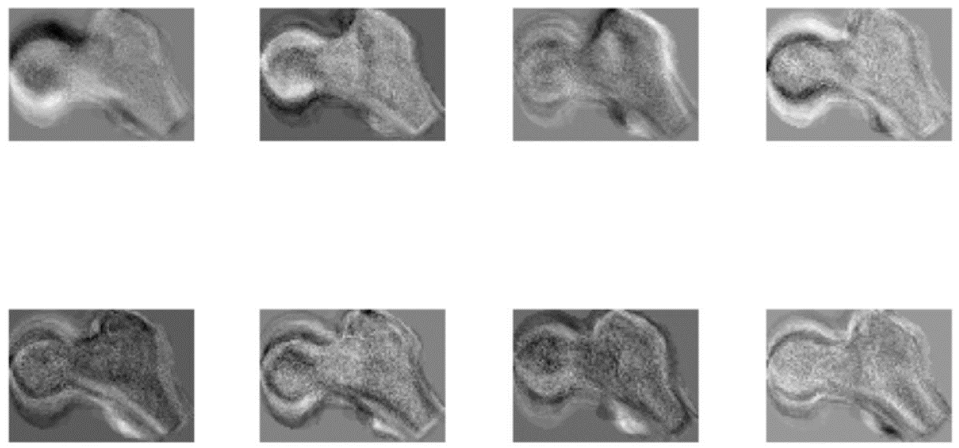 Forensicsci 04 00001 g002