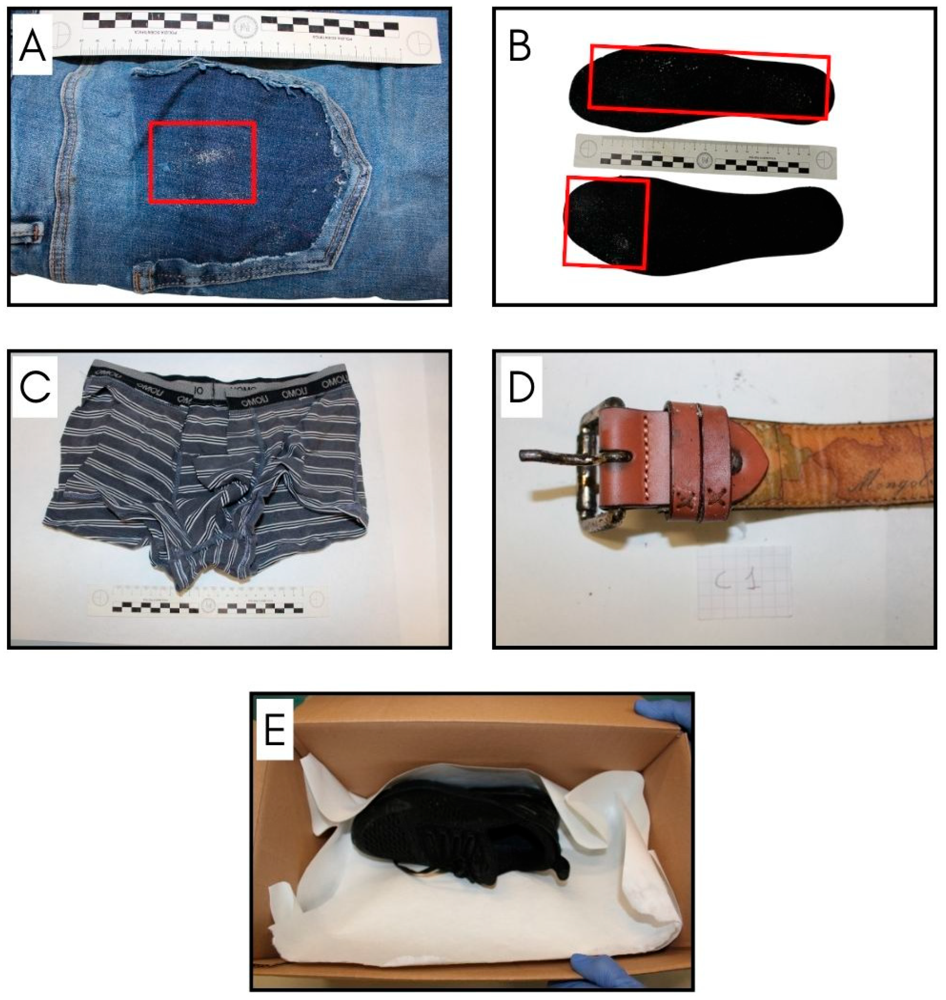 Forensicsci 04 00024 g001