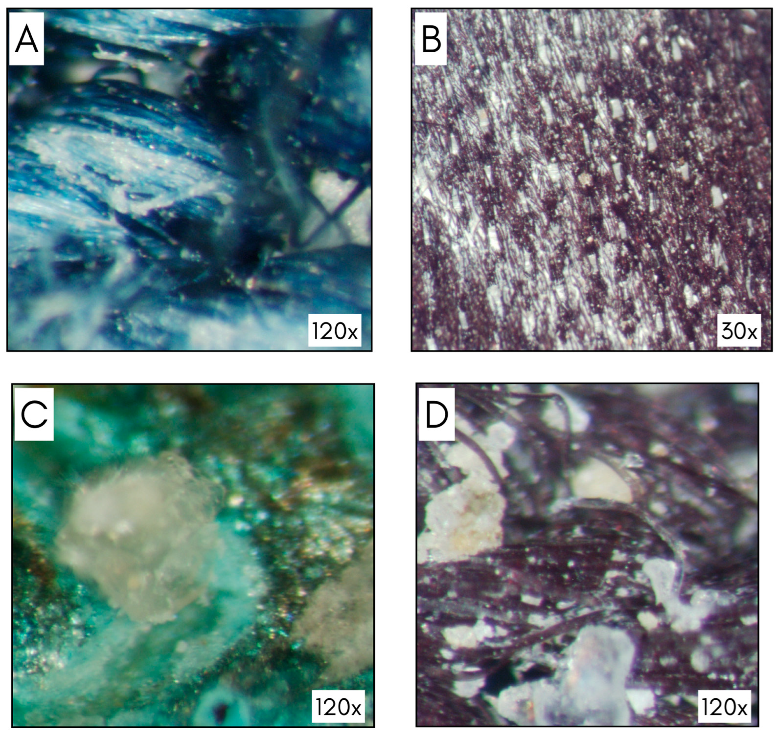 Forensicsci 04 00024 g002