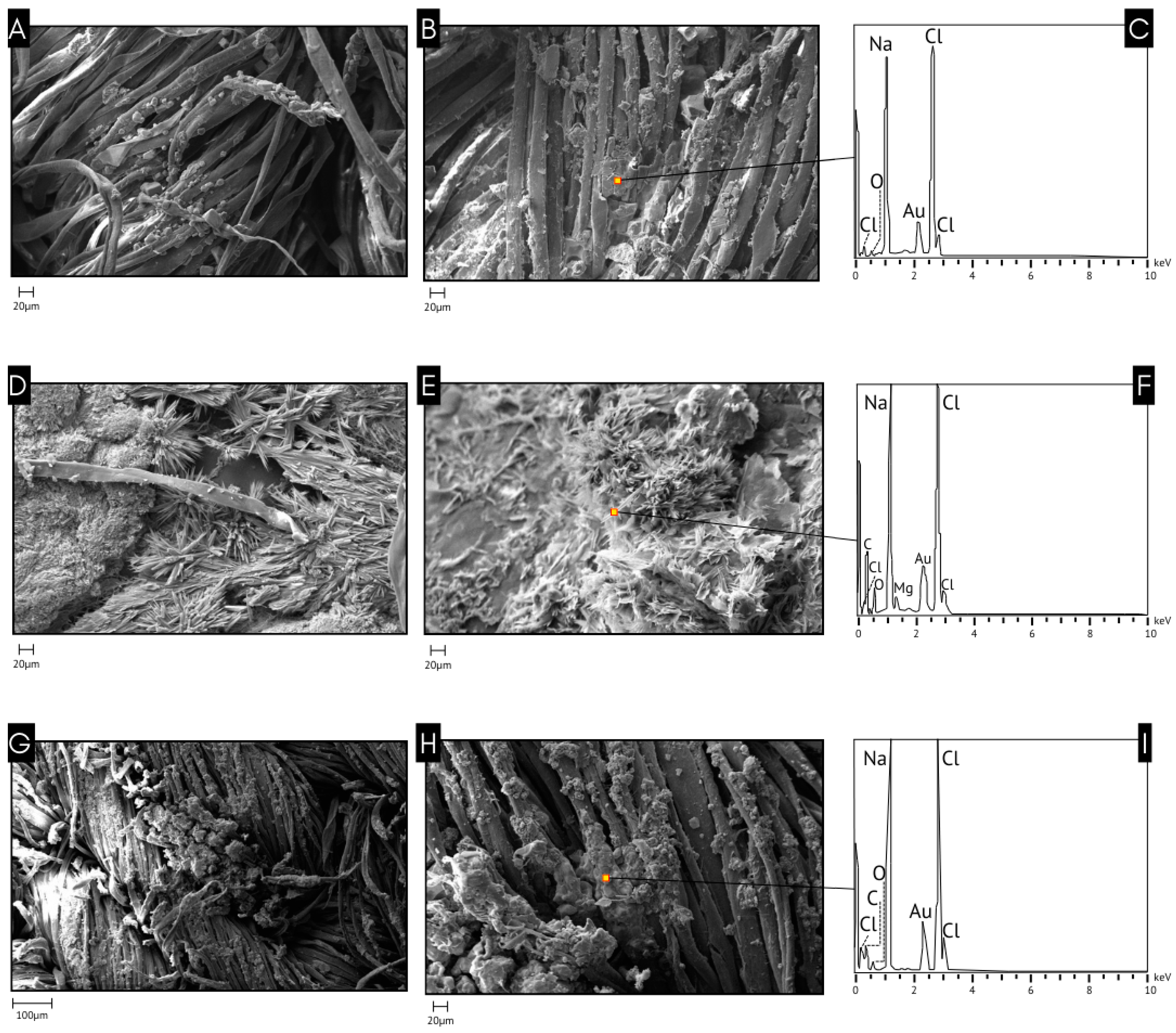 Forensicsci 04 00024 g004