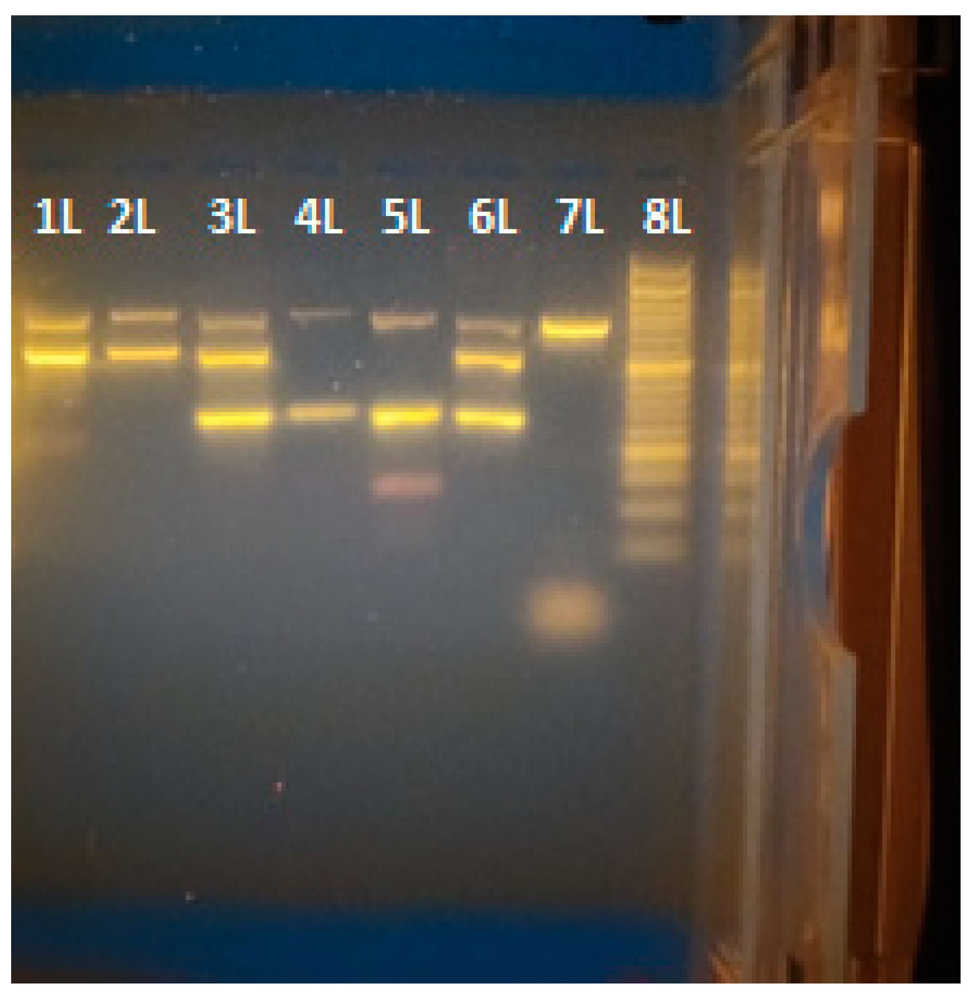 Forensicsci 04 00038 g001