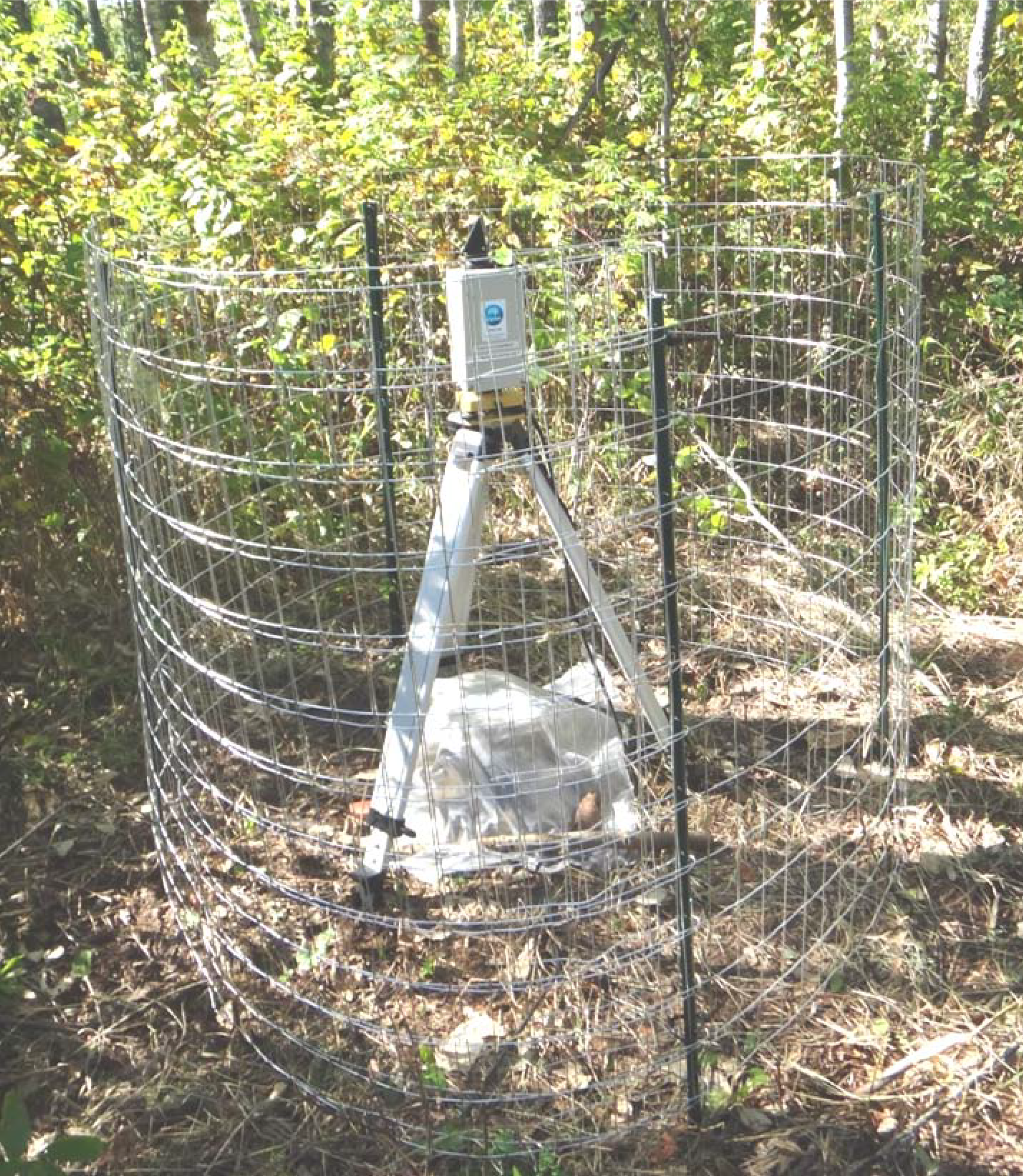 Forests | Free Full-Text | Using VEGNET In-Situ Monitoring LiDAR (IML) to  Capture Dynamics of Plant Area Index, Structure and Phenology in Aspen  Parkland Forests in Alberta, Canada