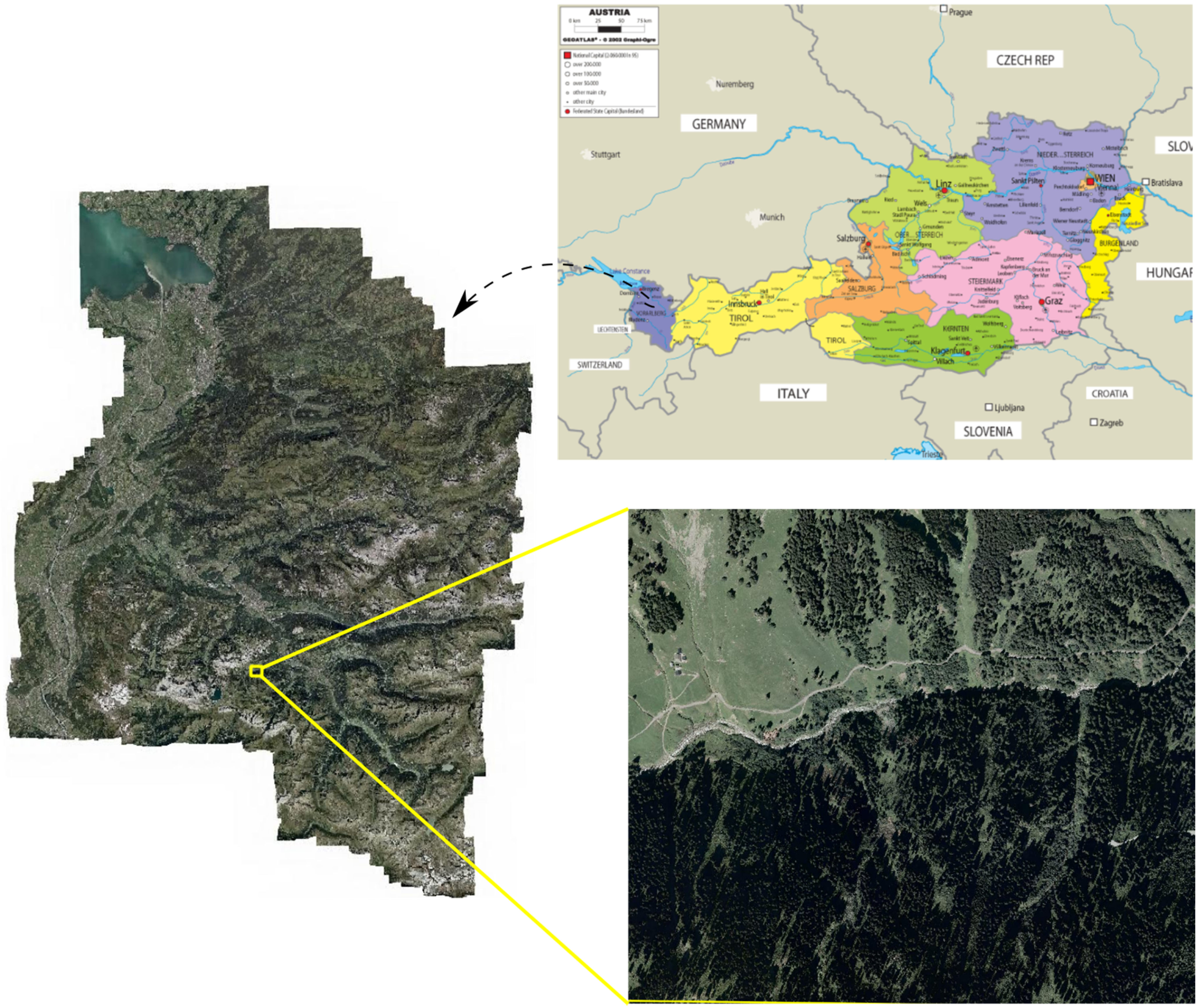 Forests | Free Full-Text | Assessment of Wooded Area Reduction by Airborne Laser  Scanning
