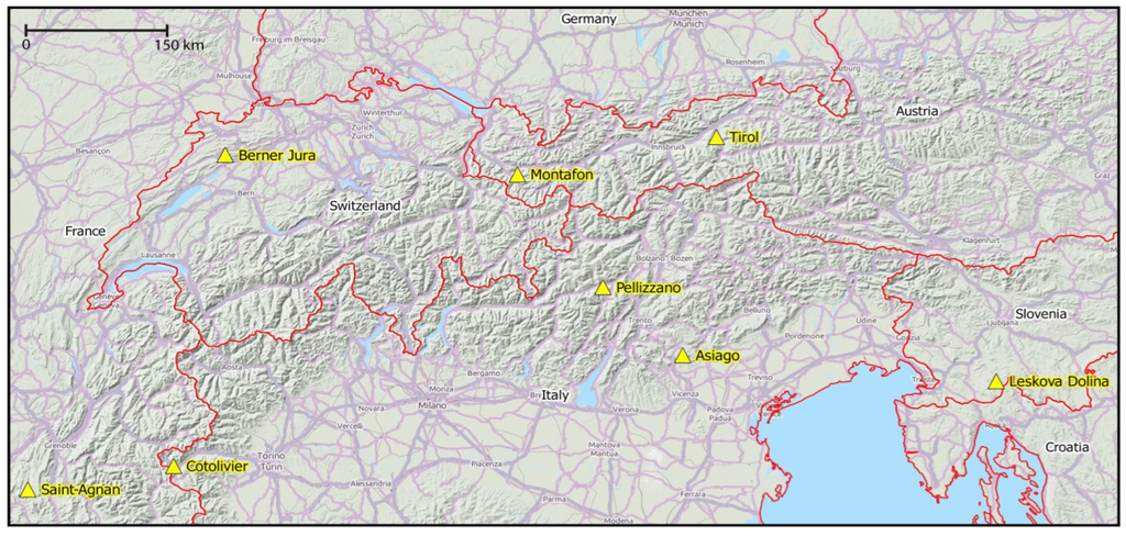 Forests | Free Full-Text | A Benchmark of Lidar-Based Single Tree ...