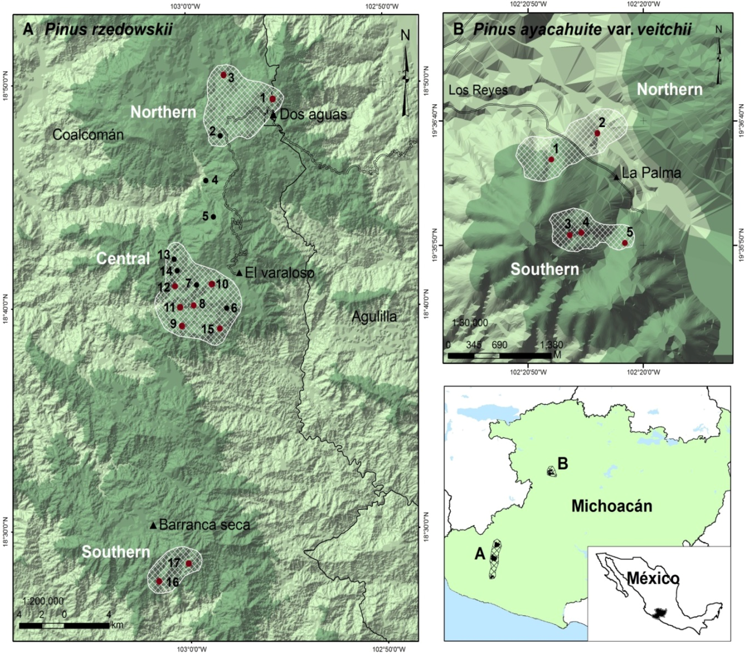 Forests | Free Full-Text | Reproductive Success and Inbreeding