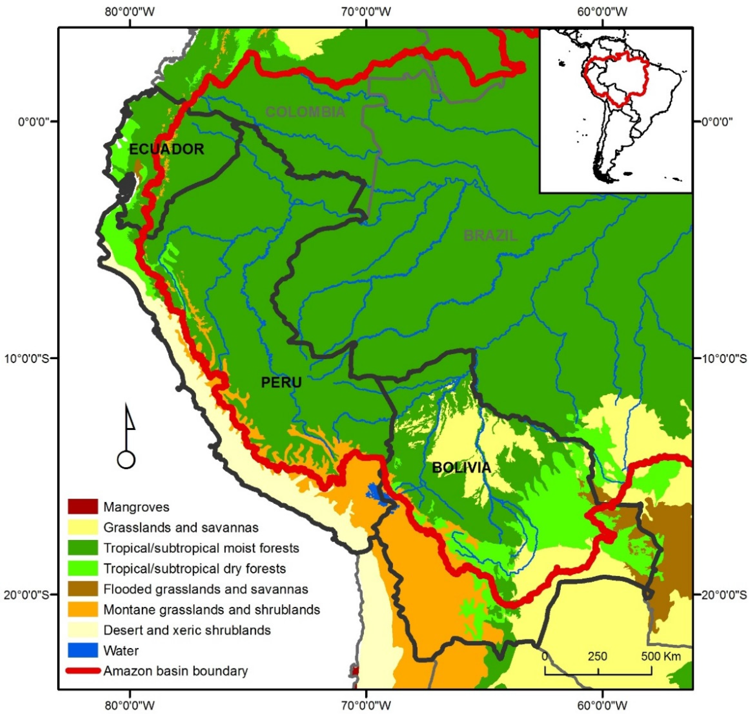 Forests | Free Full-Text | Smallholder Forestry in the Western Amazon:  Outcomes from Forest Reforms and Emerging Policy Perspectives