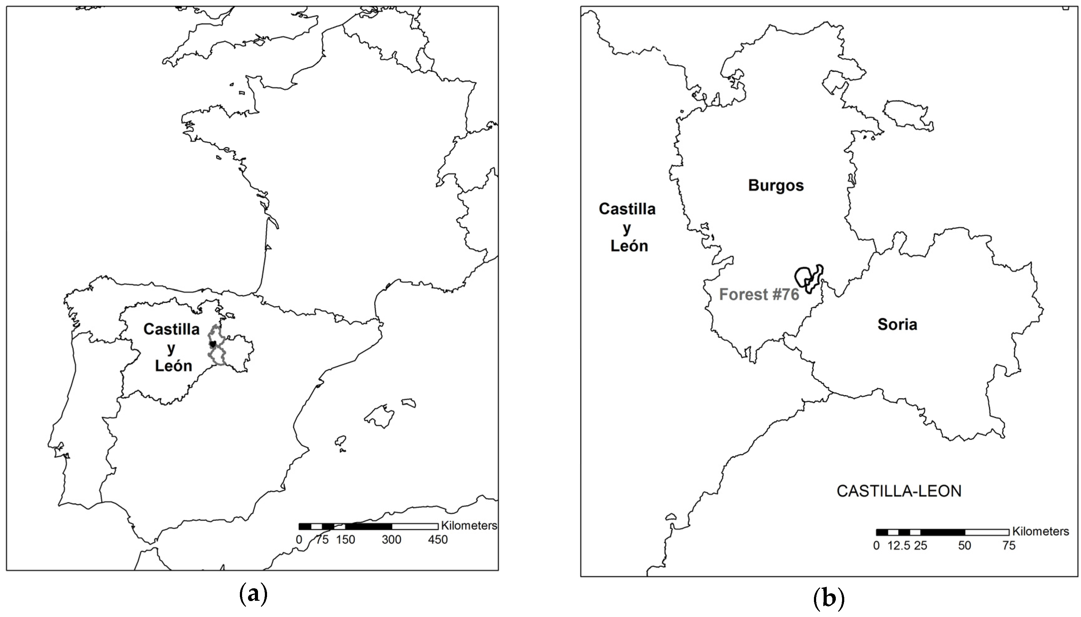 Forests Free Full Text Using Spatial Optimization To Create Dynamic Harvest Blocks From Lidar Based Small Interpretation Units Html