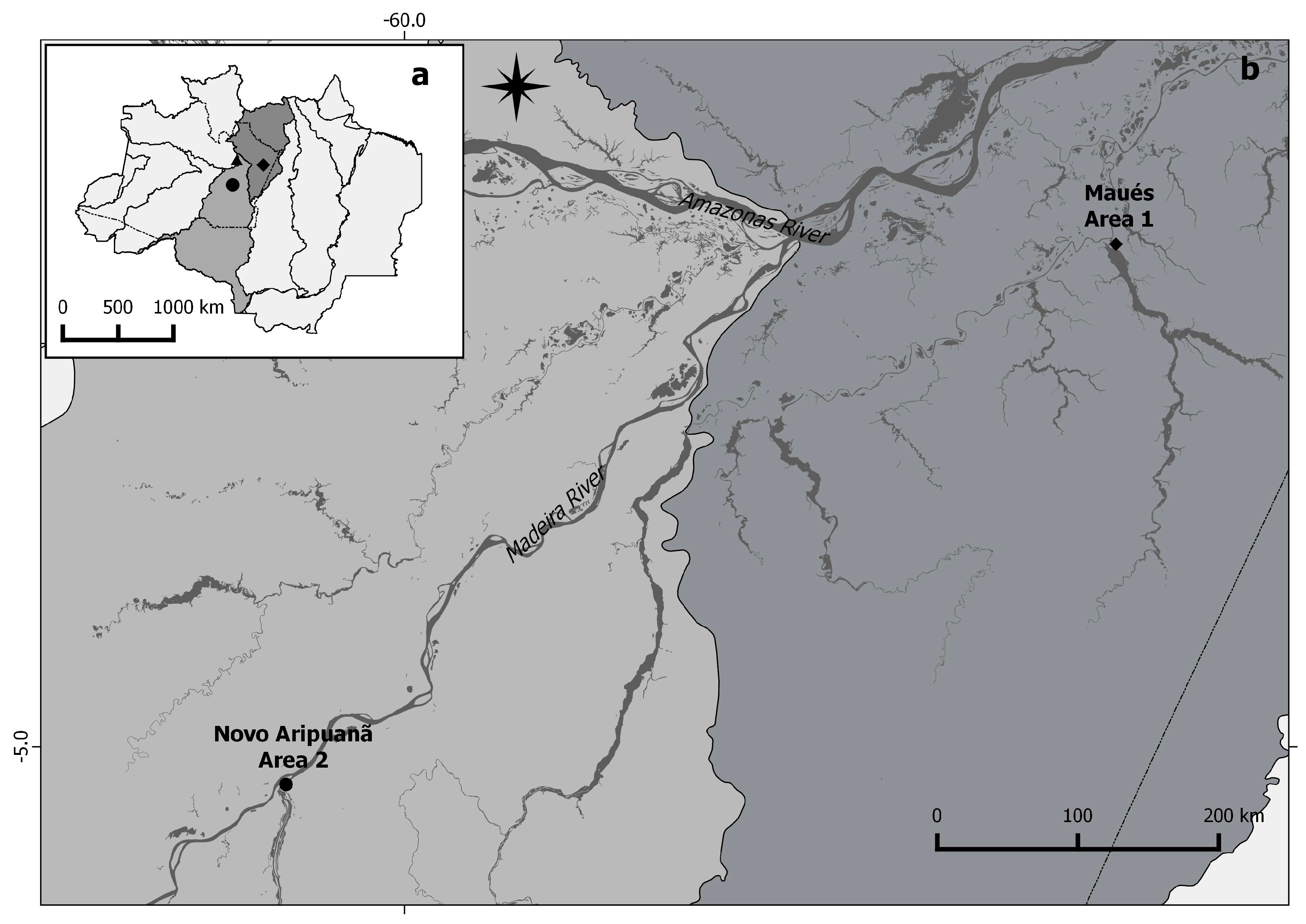 Forests | Free Full-Text | New Allometric Equations to Support Sustainable  Plantation Management of Rosewood (Aniba rosaeodora Ducke) in the Central  Amazon | HTML