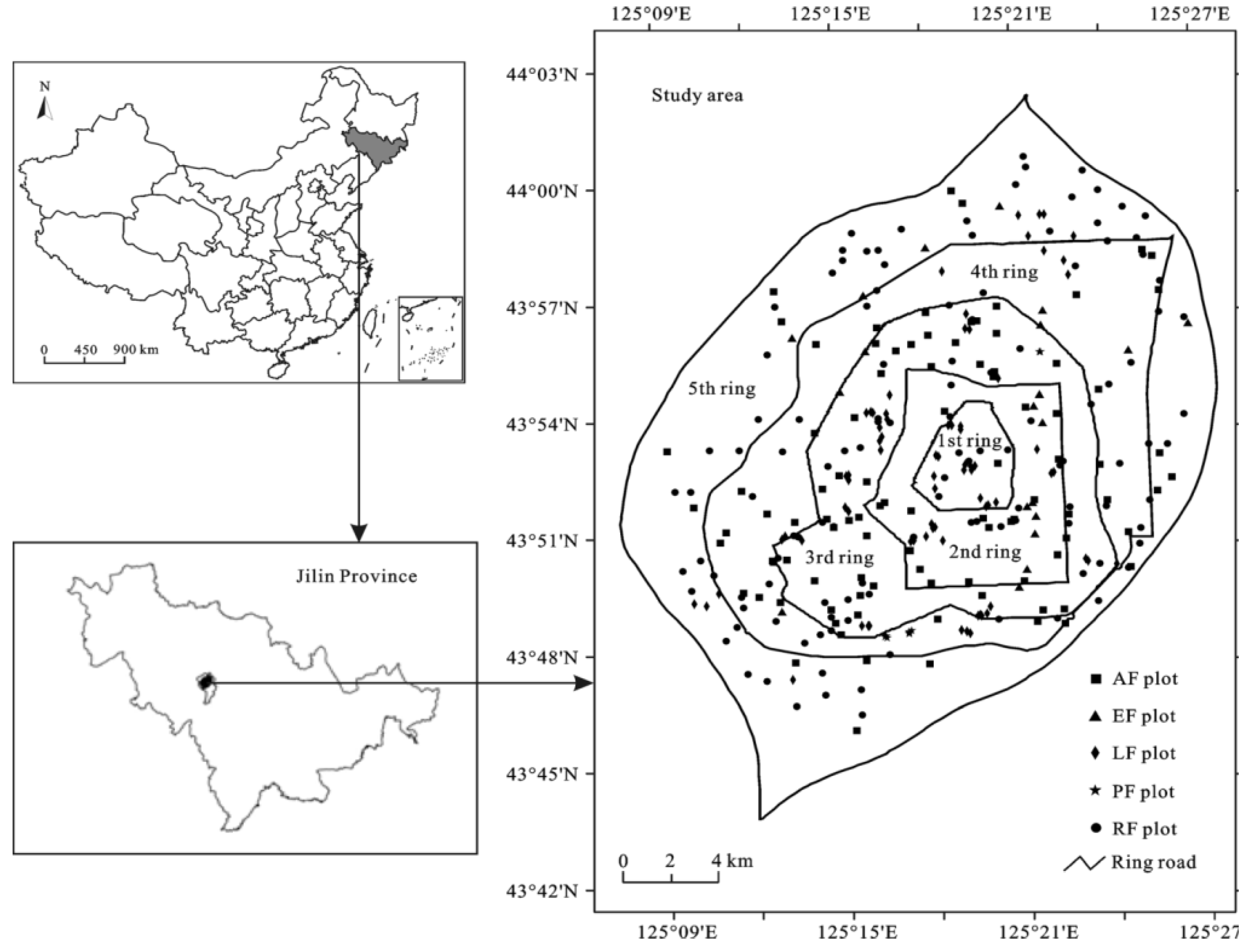 Forests 09 00272 g001