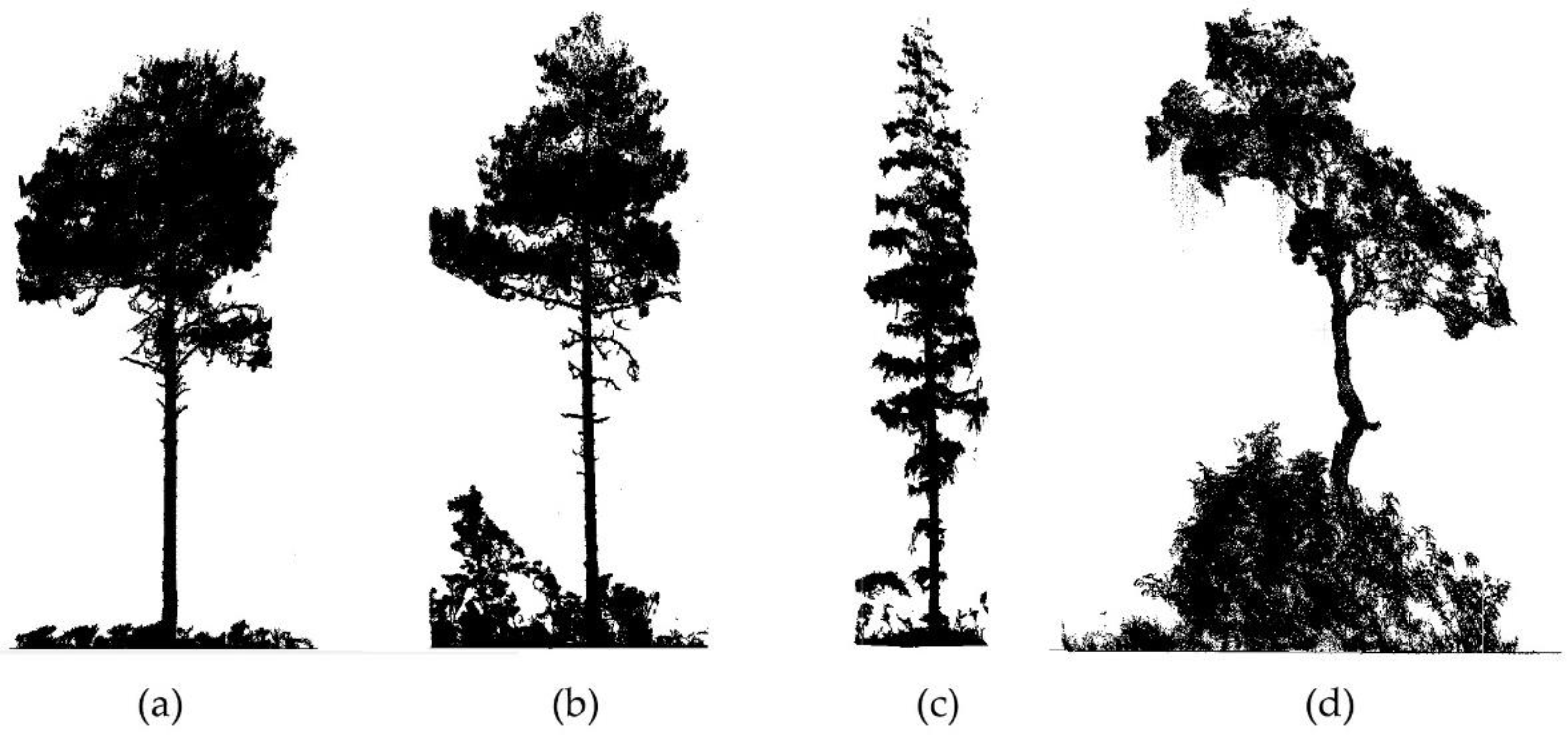 Forests 09 00398 g009