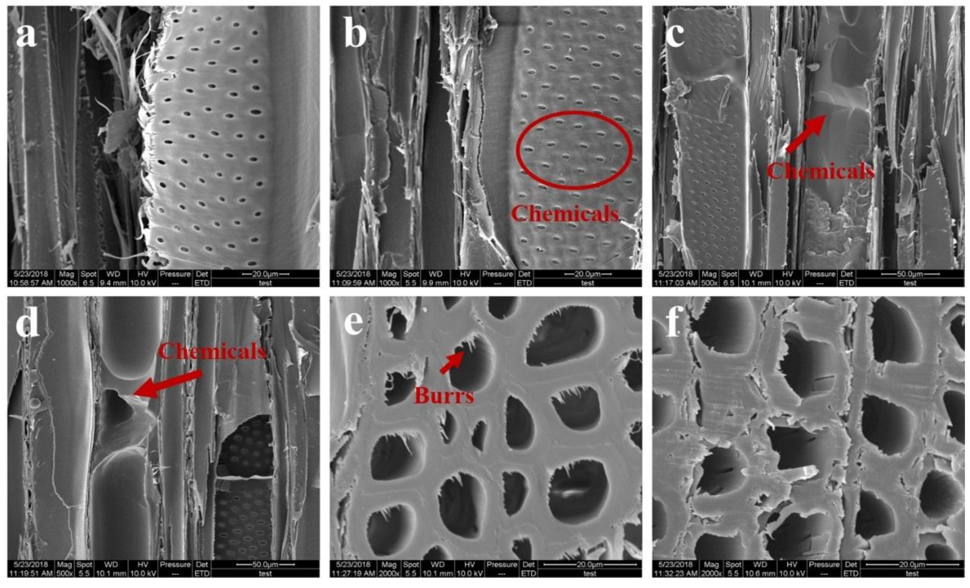 Forests 09 00676 g007 Forests 09 00676 g007