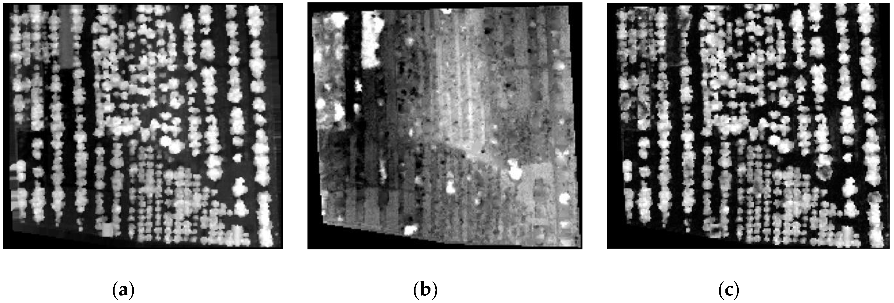 Forests 09 00735 g014