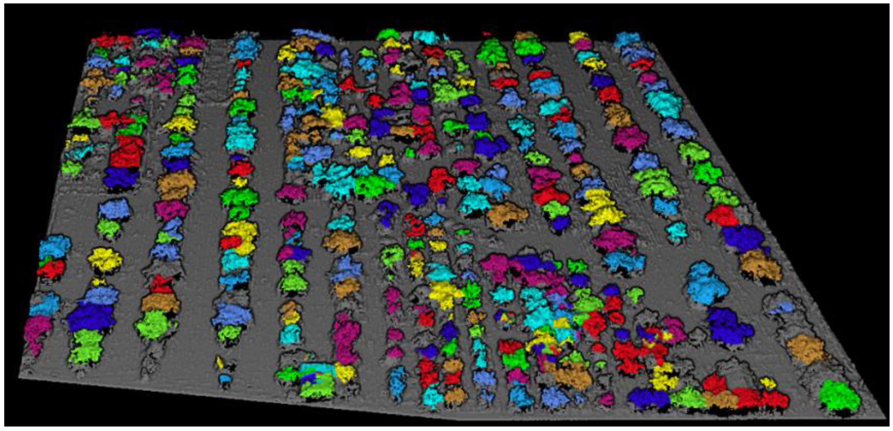 Forests 09 00735 g016