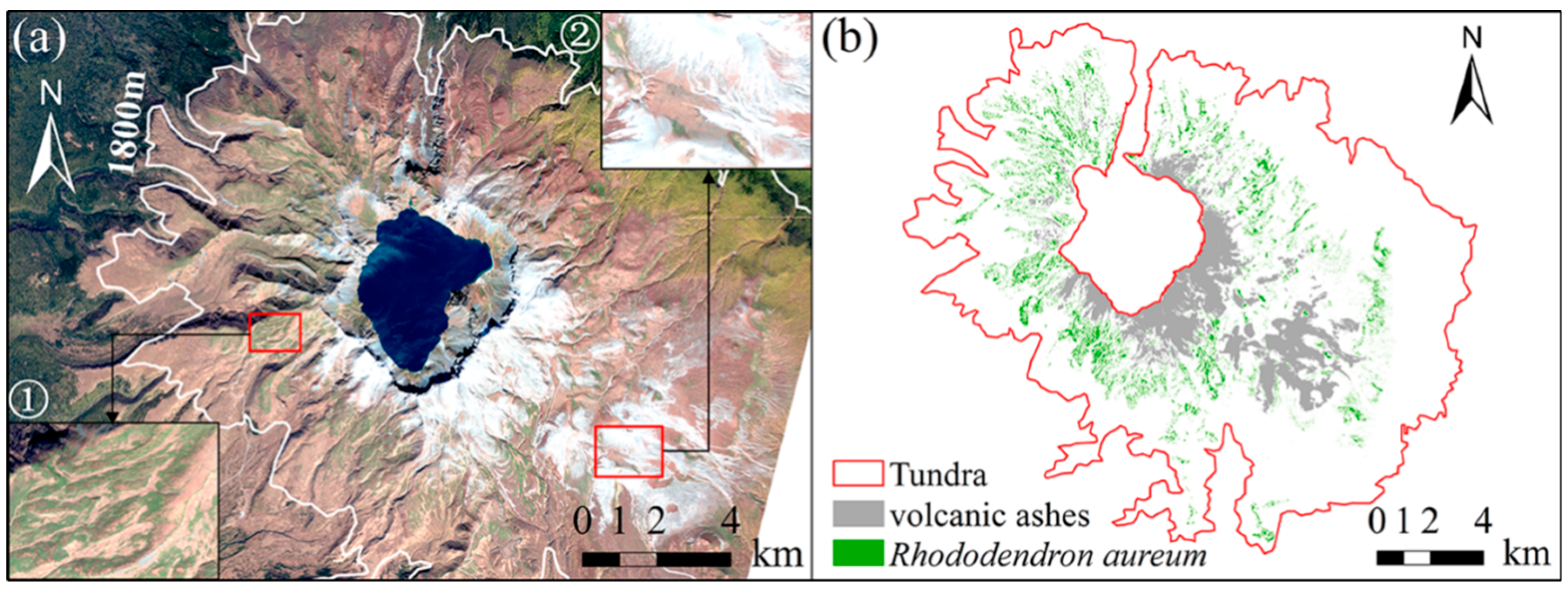 Forests | Free Full-Text | Topographic Controls on Vegetation