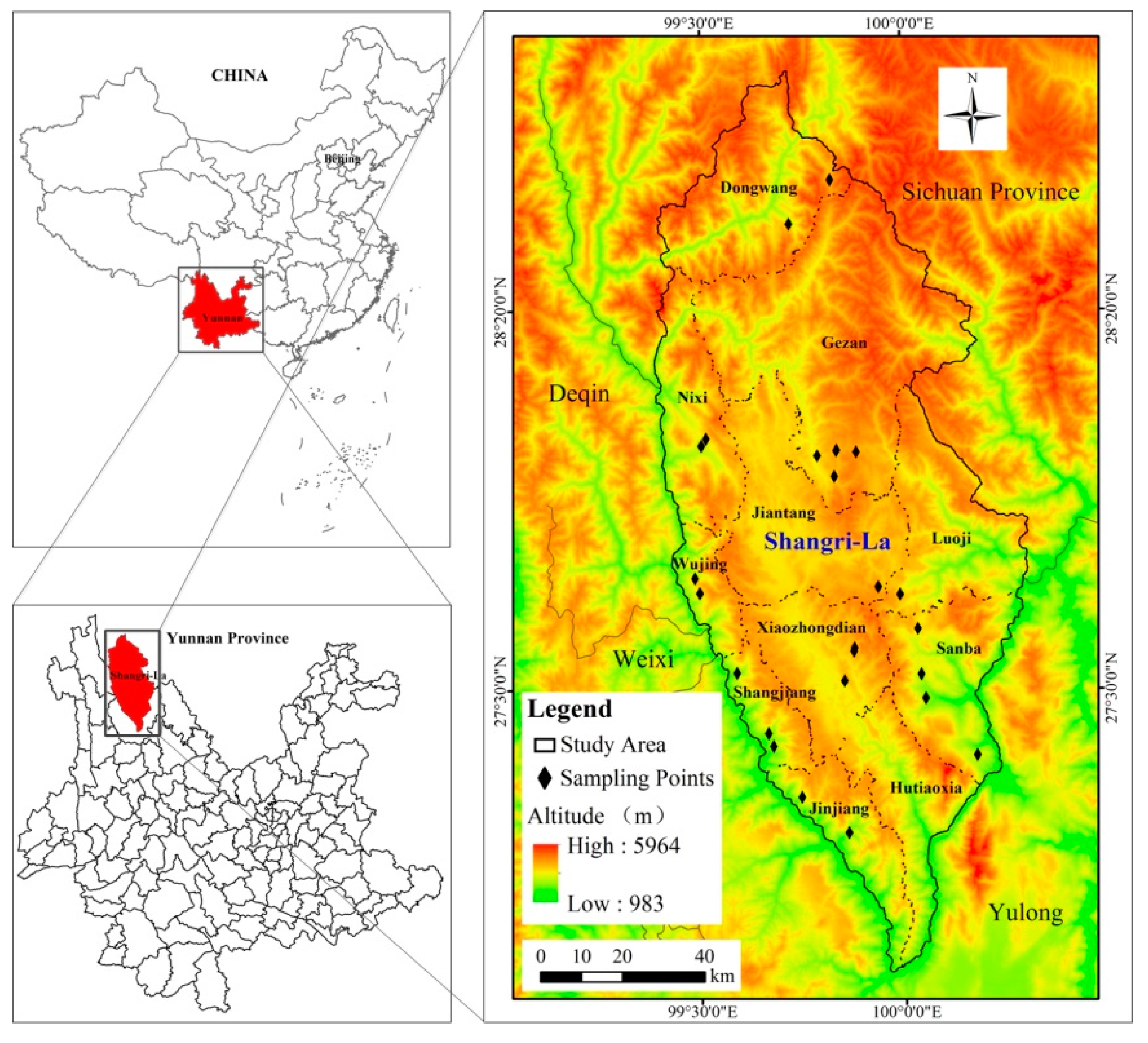 Forests 10 00217 g001