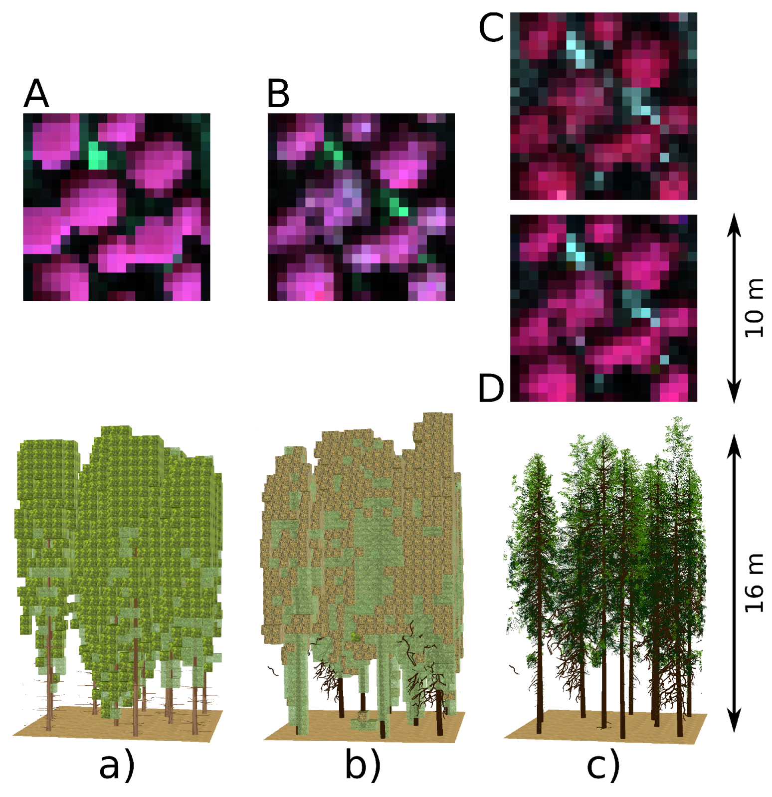 Forests Free Full-Text | Influence of Spruce Tree on Accuracy of Airborne and Satellite Forest Reflectance Simulated in DART