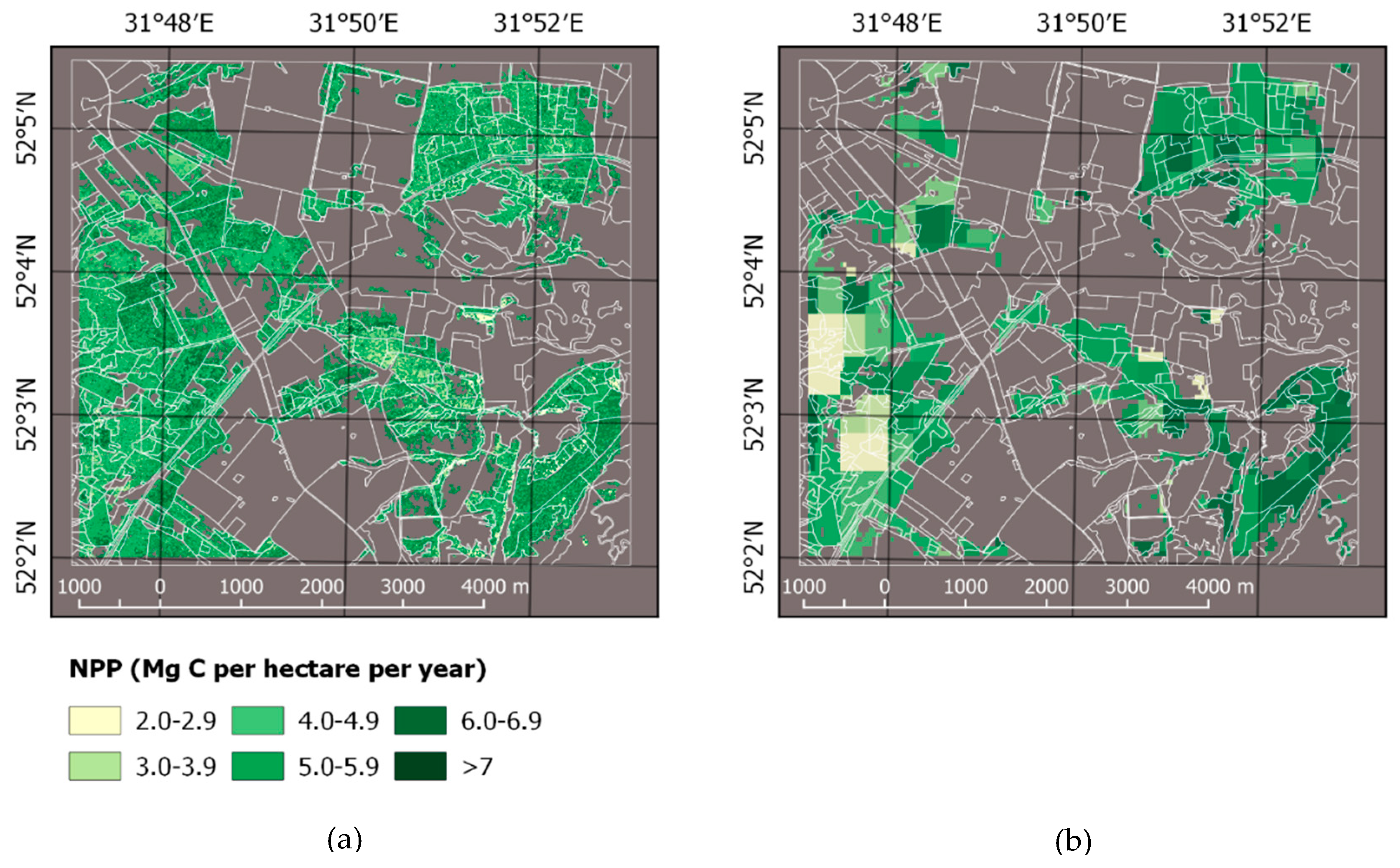 Forests Free Full Text Impact Of Disturbances On The Carbon Cycle Of Forest Ecosystems In Ukrainian Polissya Html