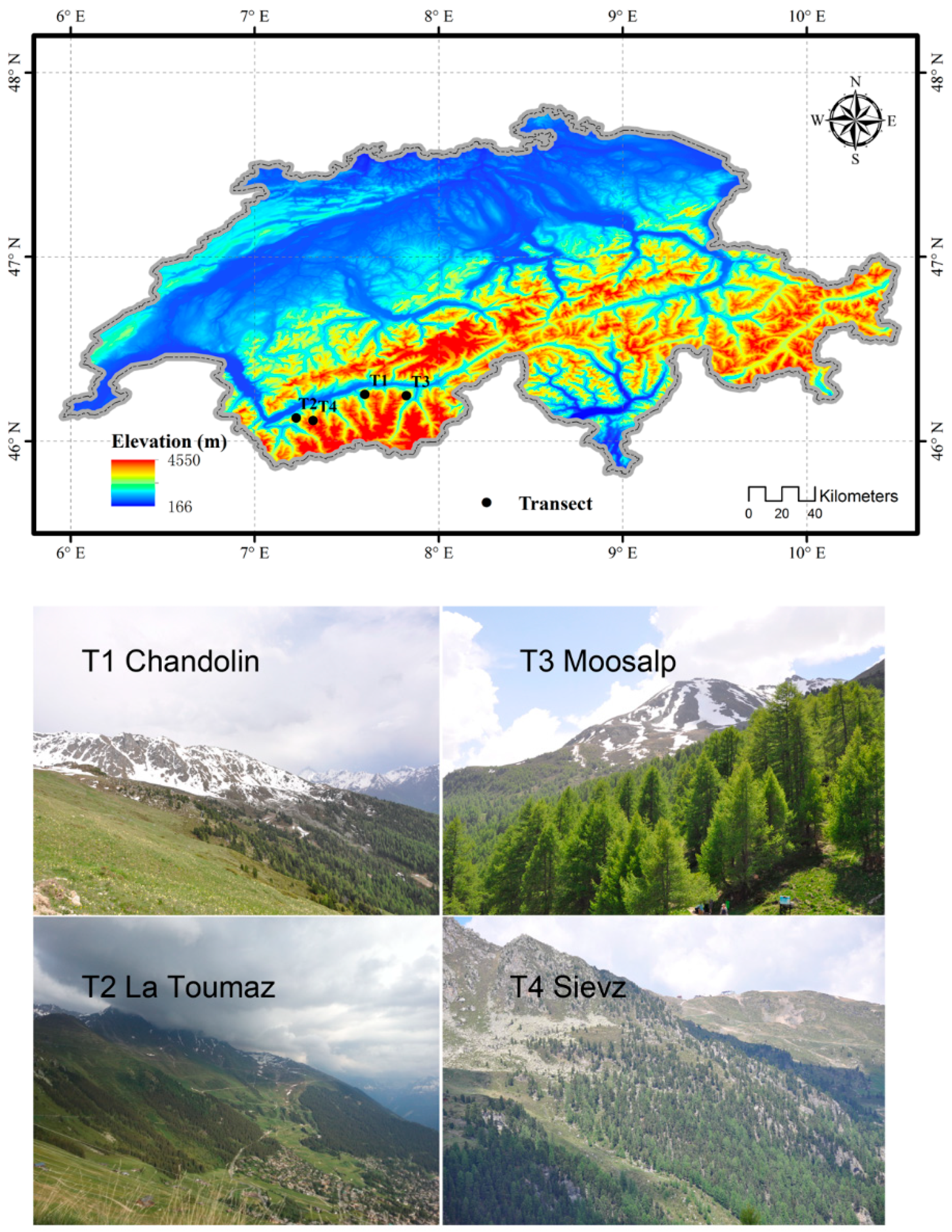 Forests | Free Full-Text | No Ontogenetic Shifts in C-, N- and P-Allocation  for Two Distinct Tree Species along Elevational Gradients in the Swiss Alps  | HTML
