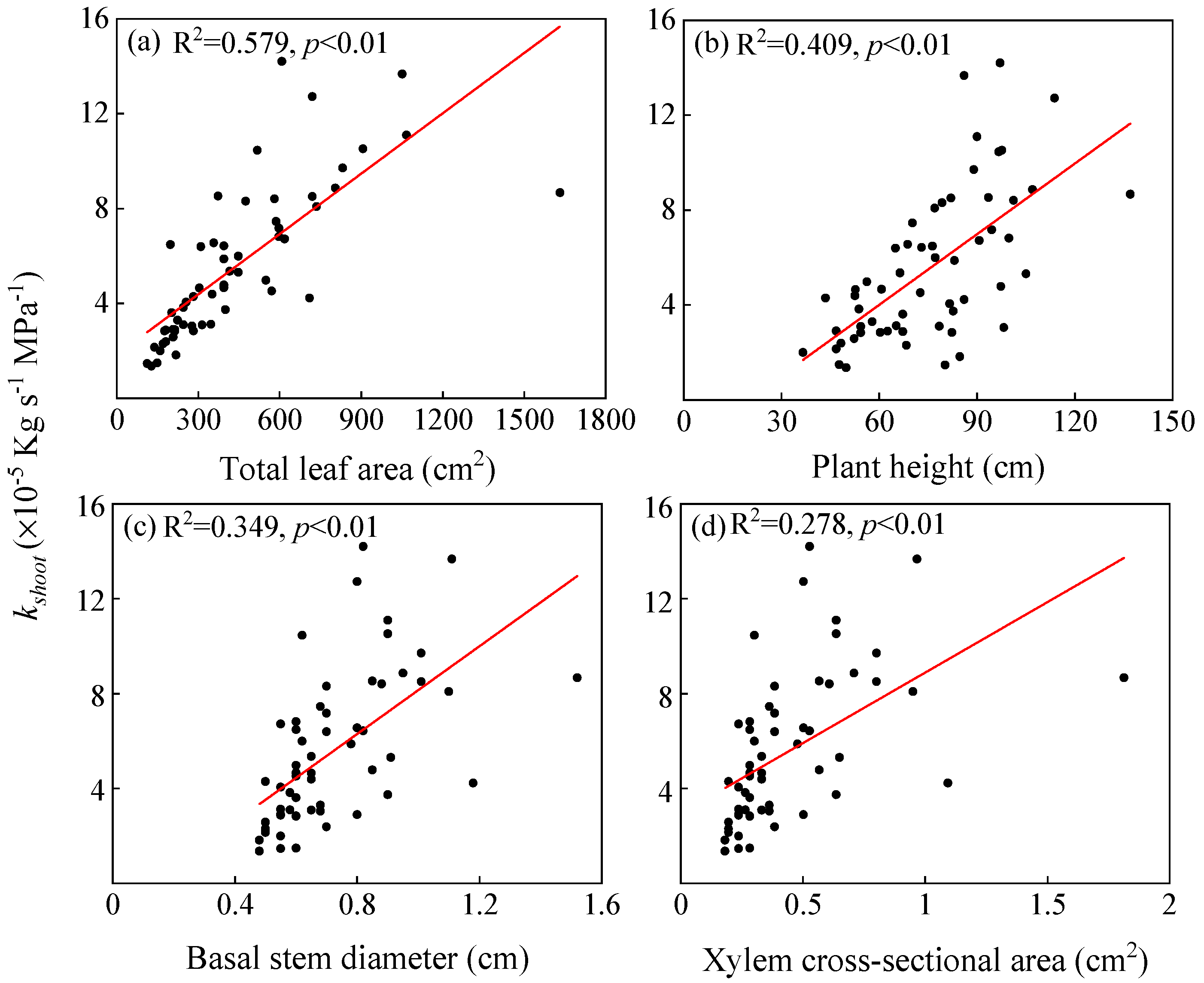 Forests 10 00407 g001 Forests 10 00407 g001