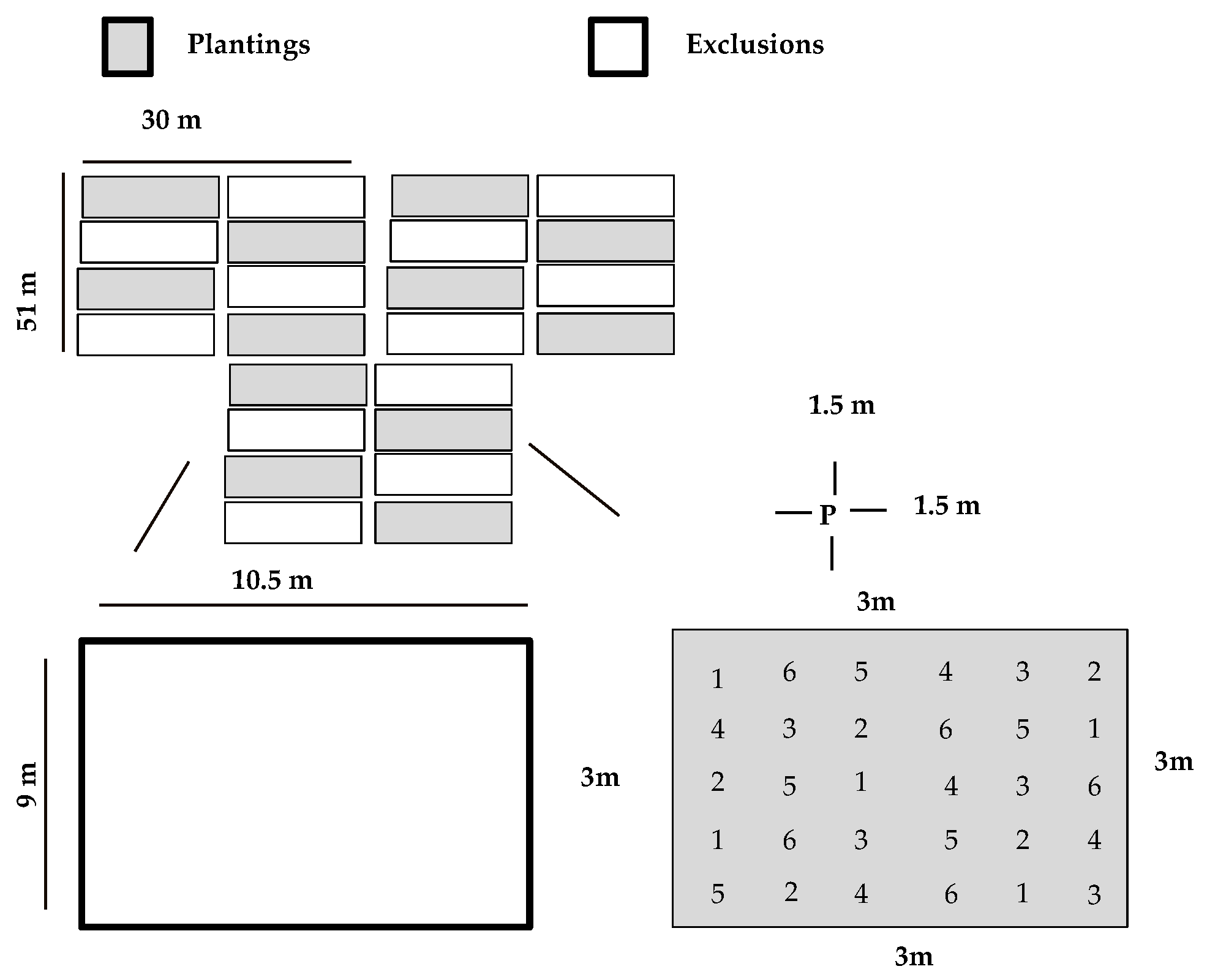 Forests 10 00428 g001