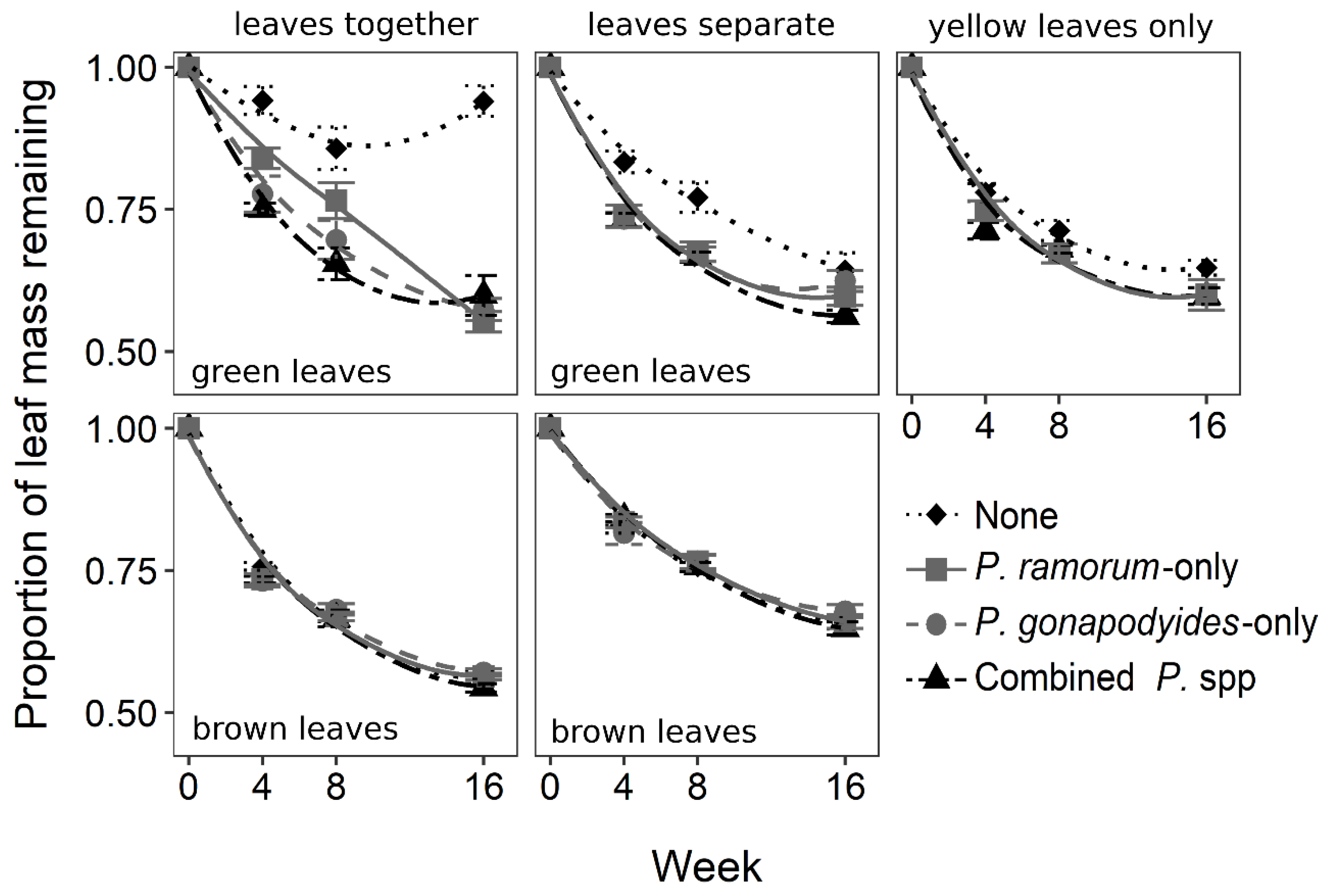 Forests 10 00434 g002 Forests 10 00434 g002
