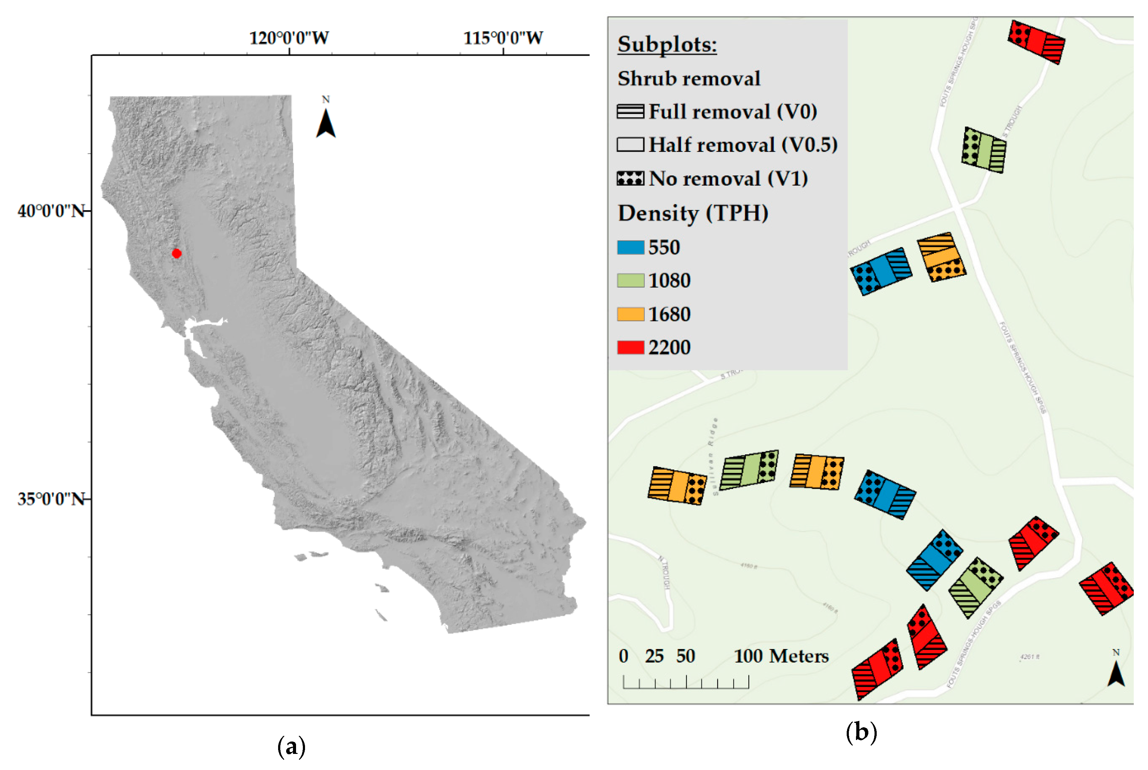 Forests | Free Full-Text | Climate Effect on Ponderosa Pine Radial Growth  Varies with Tree Density and Shrub Removal | HTML