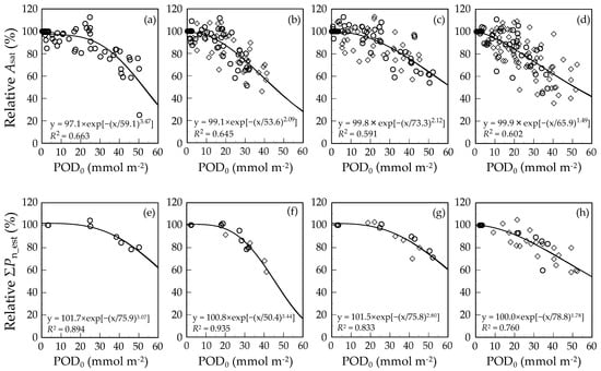 Forests Free Full Text Evaluation Of O3 Effects On Cumulative Photosynthetic Co2 Uptake In Seedlings Of Four Japanese Deciduous Broad Leaved Forest Tree Species Based On Stomatal O3 Uptake Html