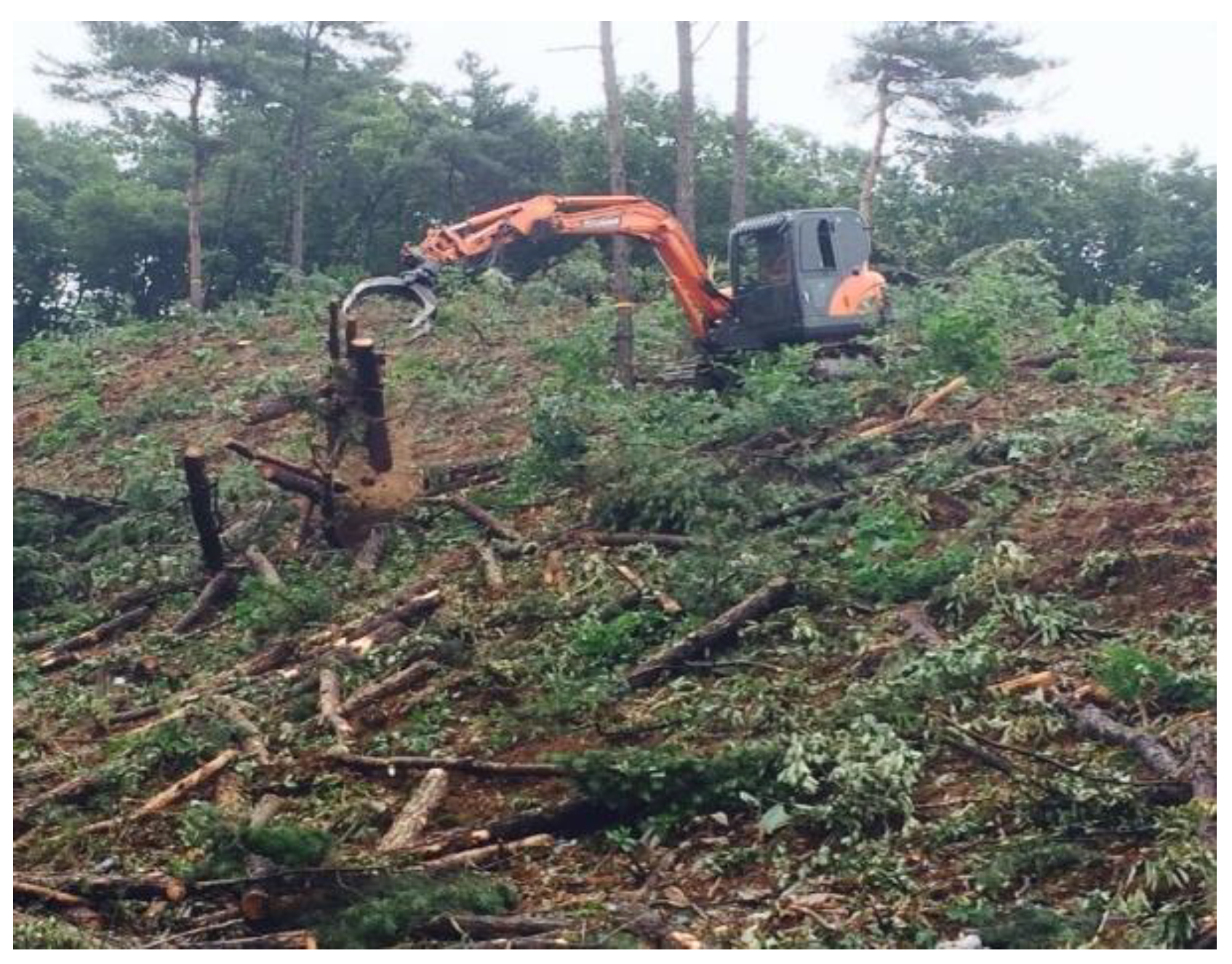 Logging track