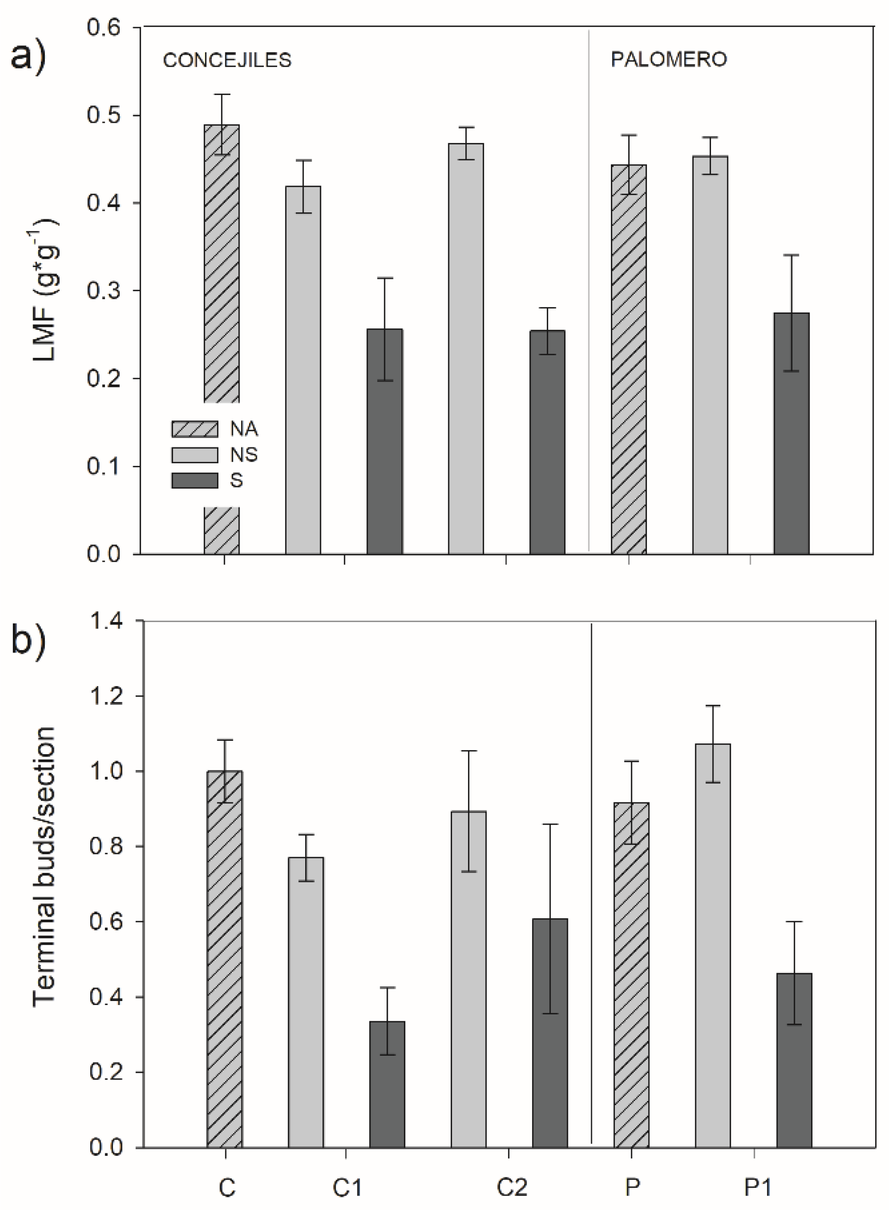 forests free full text forest decline triggered by phloem parasitism related biotic factors in aleppo pine pinus halepensis html aleppo pine pinus halepensis