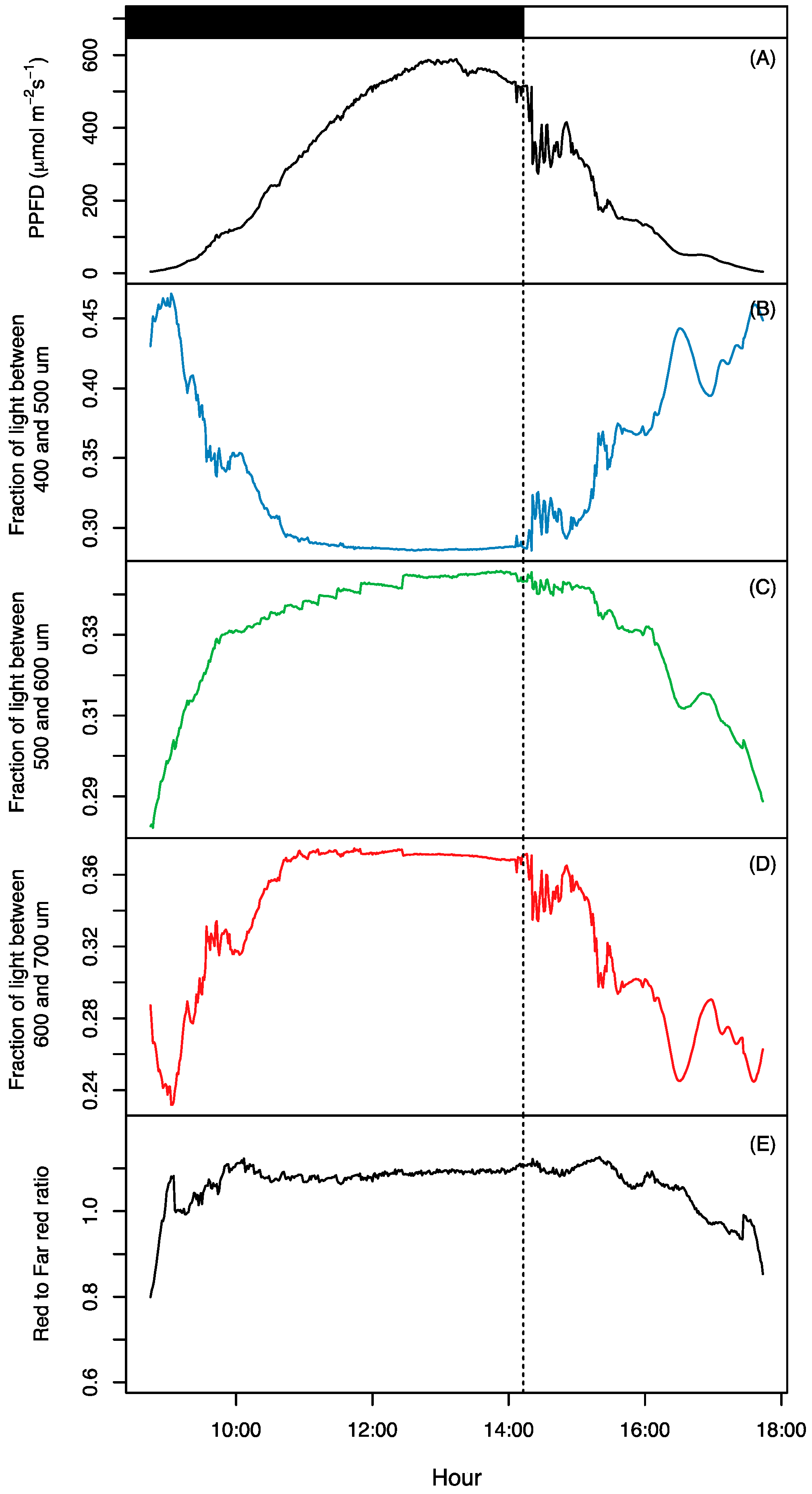 Why Leaf Sizes Vary with Latitude