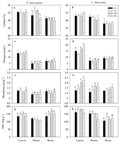 Forests Free Full Text Biochar Fertilization Significantly Increases Nutrient Levels In Plants And Soil But Has No Effect On Biomass Of Pinus Massoniana Lamb And Cunninghamia Lanceolata Lamb Hook Saplings During