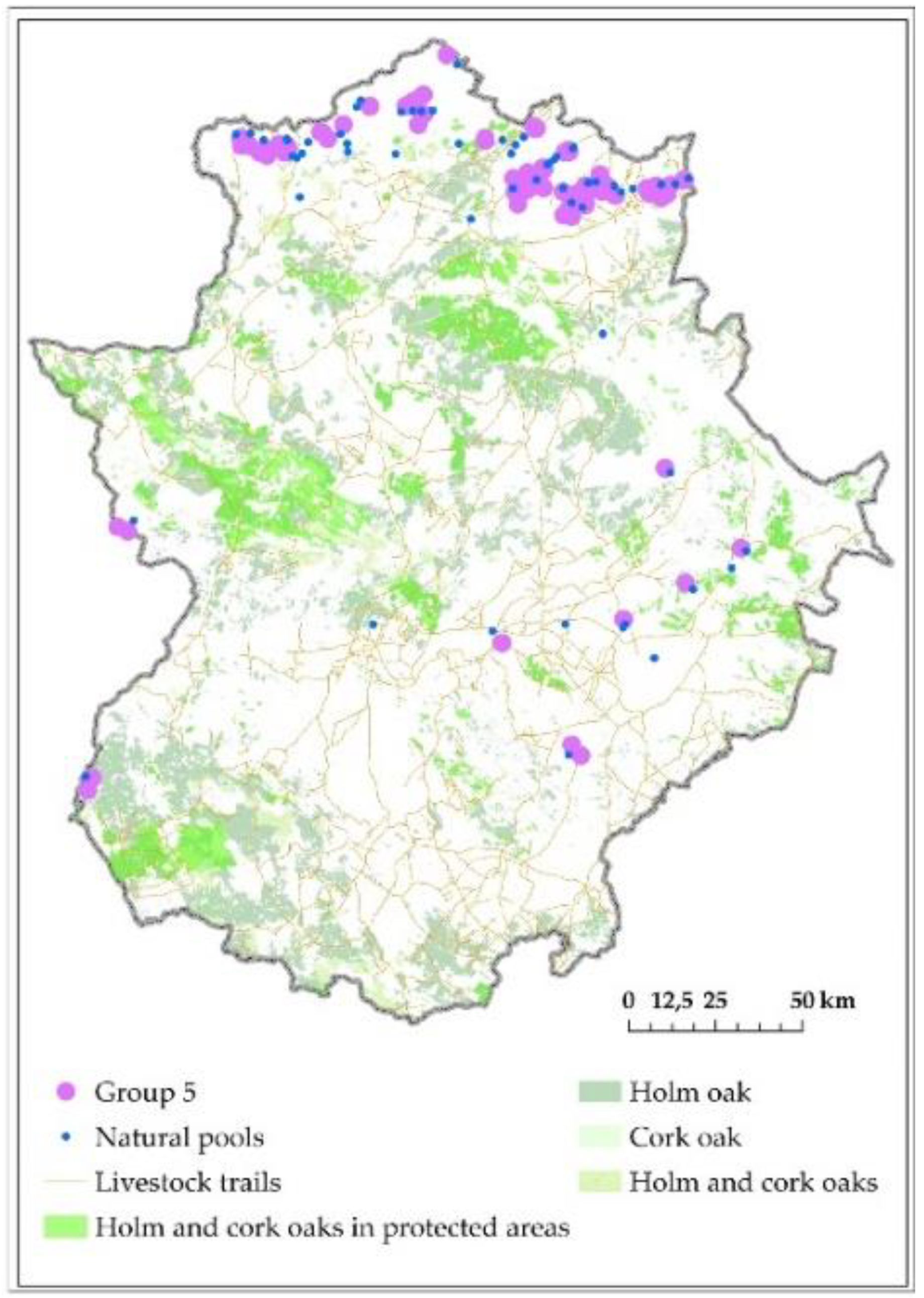 Forests 10 00620 g011 Forests 10 00620 g011