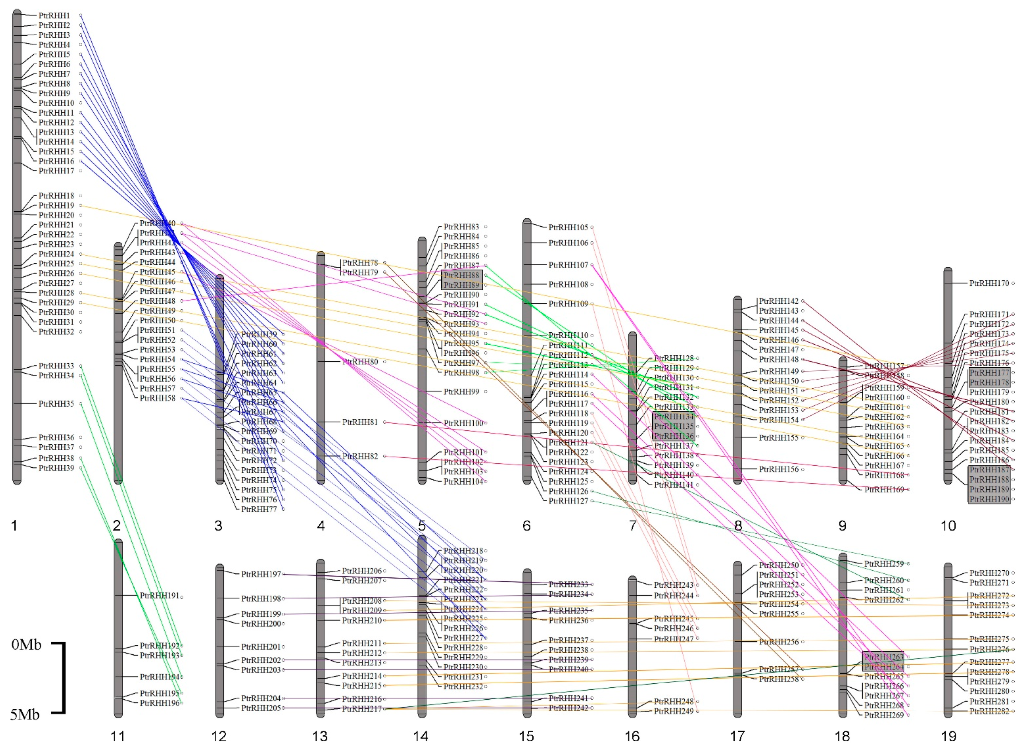 Forests 10 00698 g002